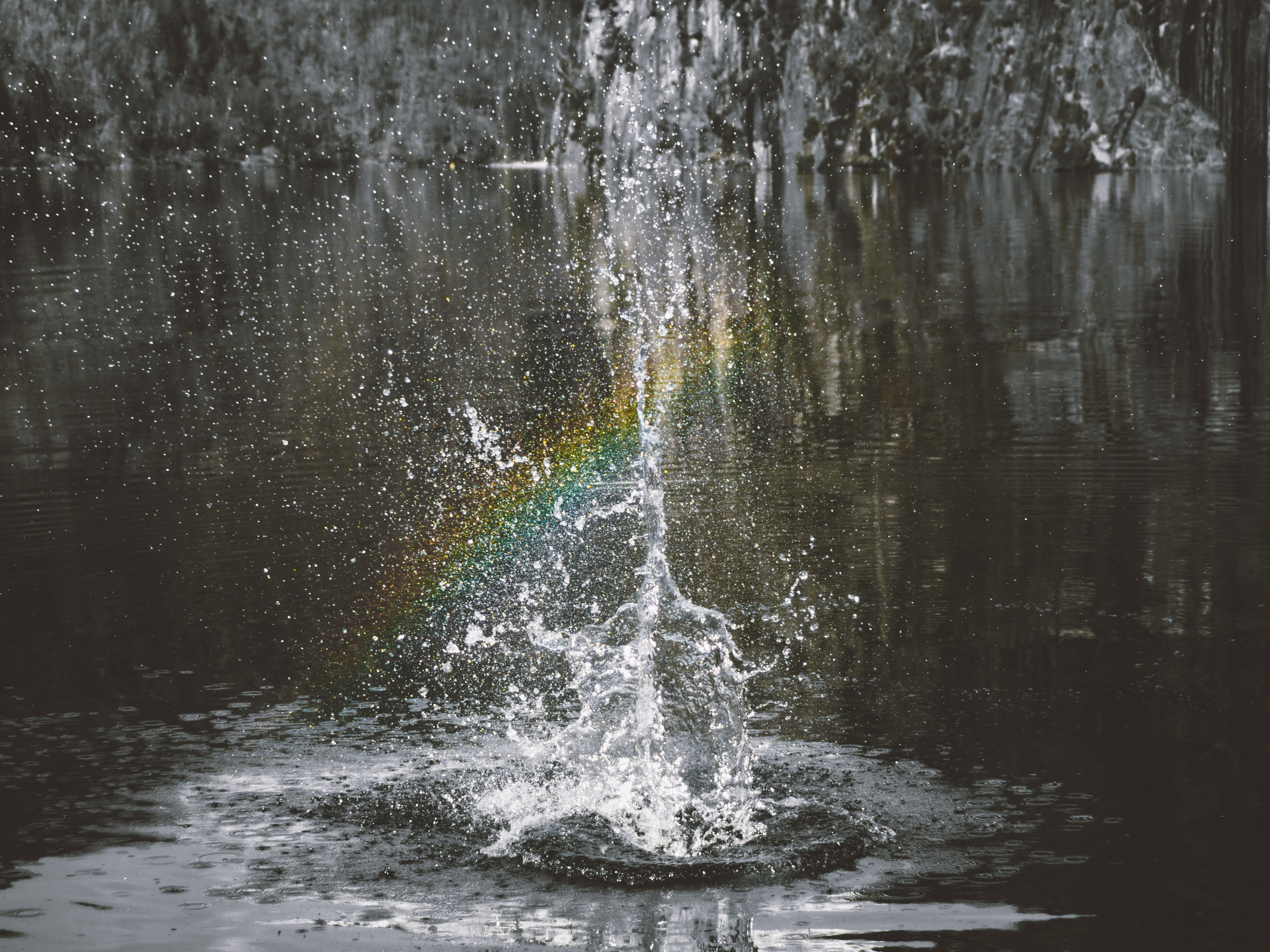 waterfall, 4K, motion, lake, black and white, non-urban scene, nature, power in nature, day, rainbow, waterfront, reflection, tree, splashing, water, no people, HD Wallpaper