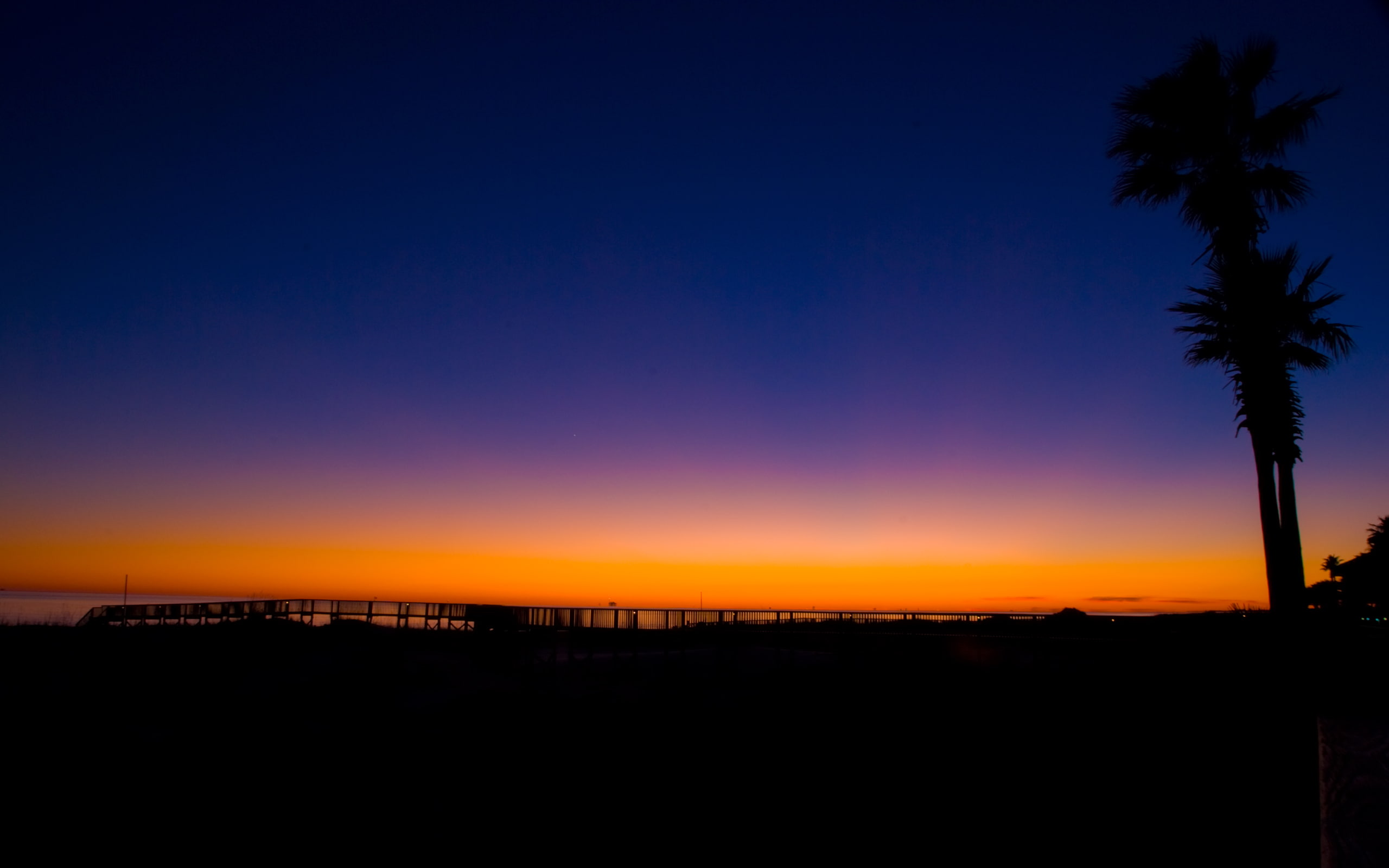 hd, sunset, shadow, 2K, trees, nature, silhouette, palm, HD Wallpaper