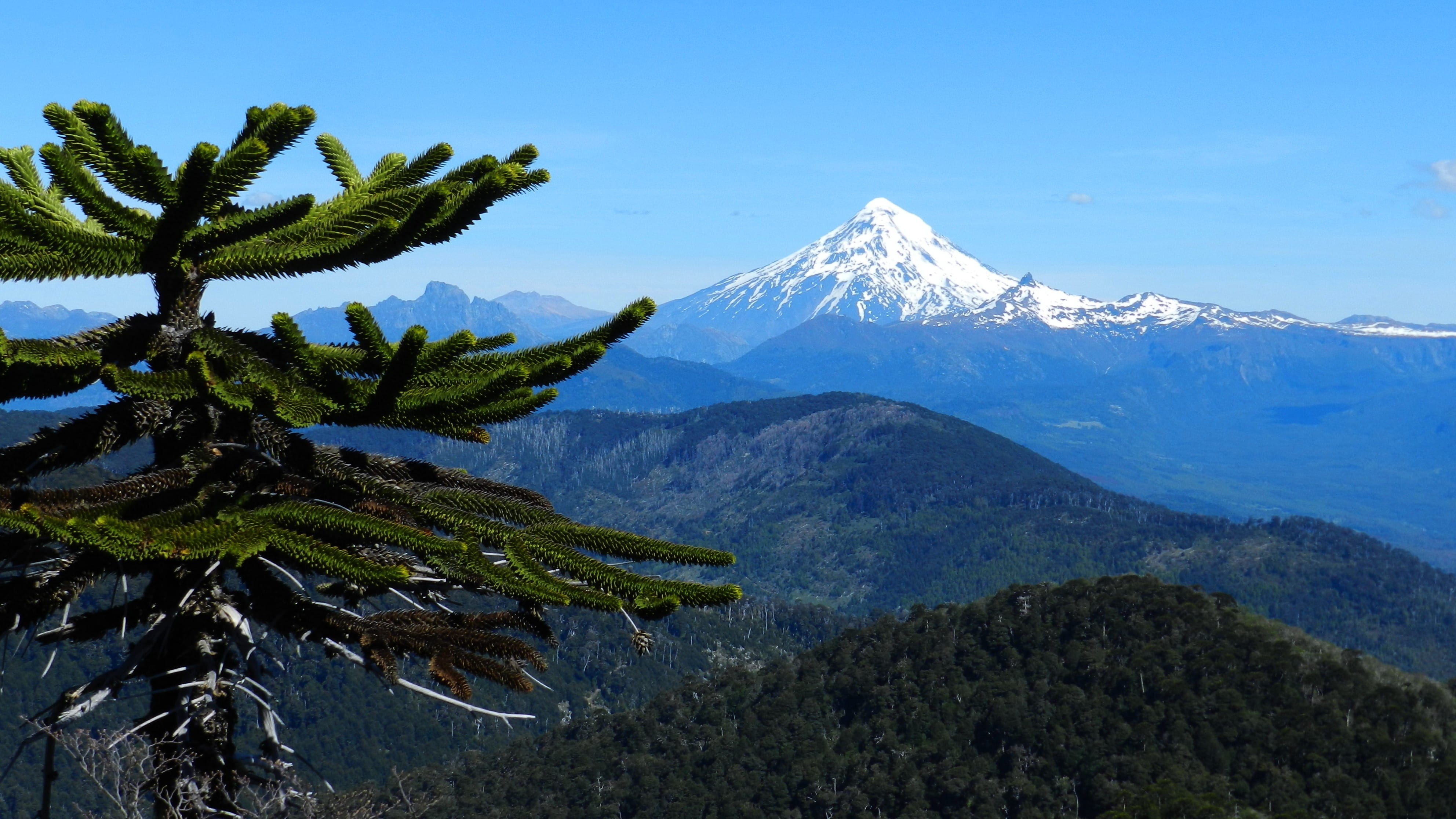 summit, forest, spectacular, andes, non-urban scene, vista, background, cold temperature, peak, chile, lookout, no people, tranquility, plant, HD Wallpaper