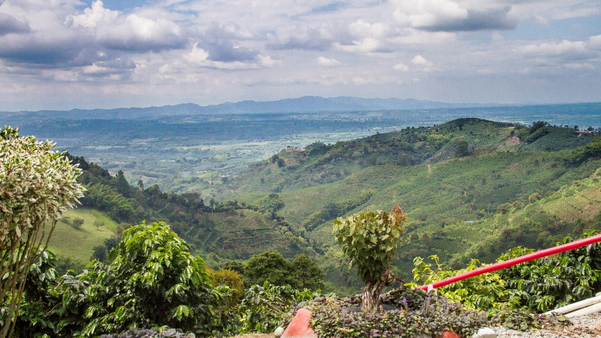 day, quindio, coffee, beauty in nature, cloud - sky, café, buena vista, tranquility, mountain, tree, high angle view, scenics - nature, tranquil scene, HD Wallpaper