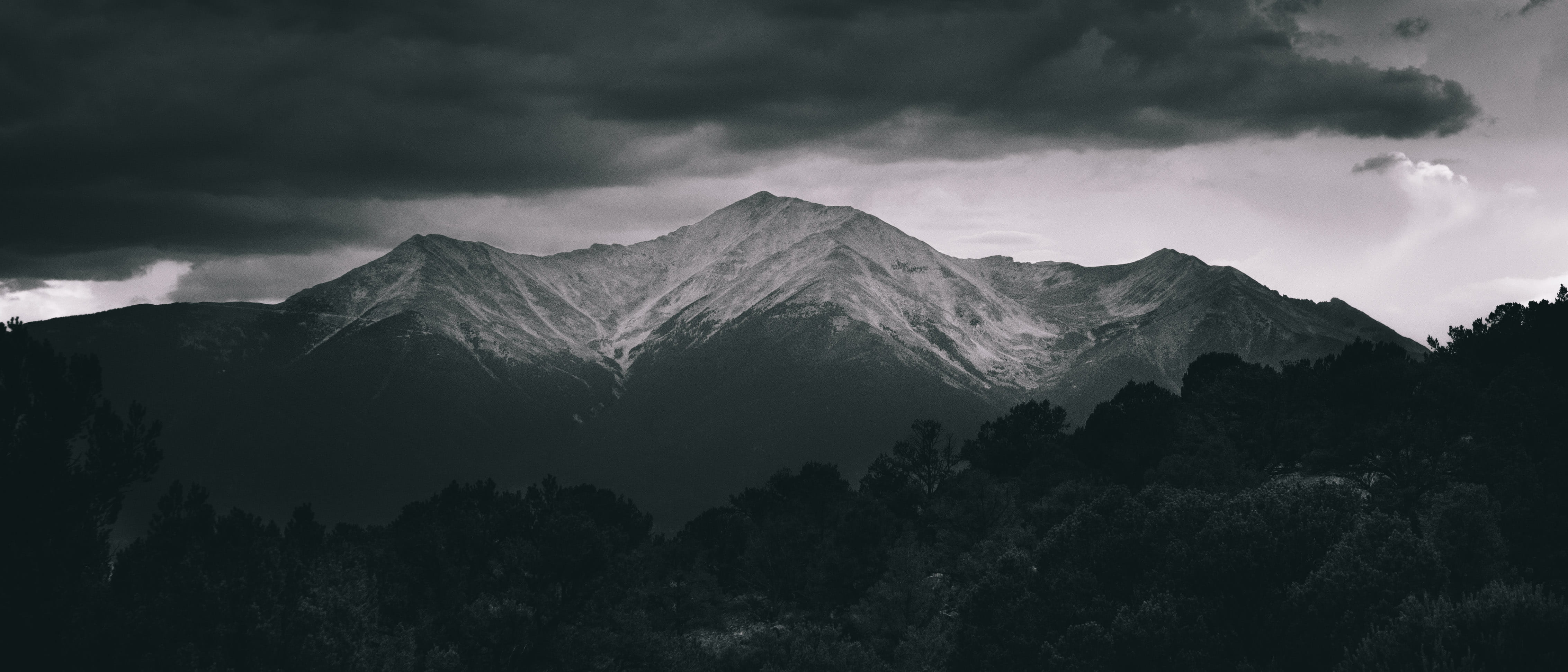 landscape, tree, buena vista, storm cloud, forest, nature, non-urban scene, environment, mountain range, united states, storm, land, black and white, colorado, HD Wallpaper