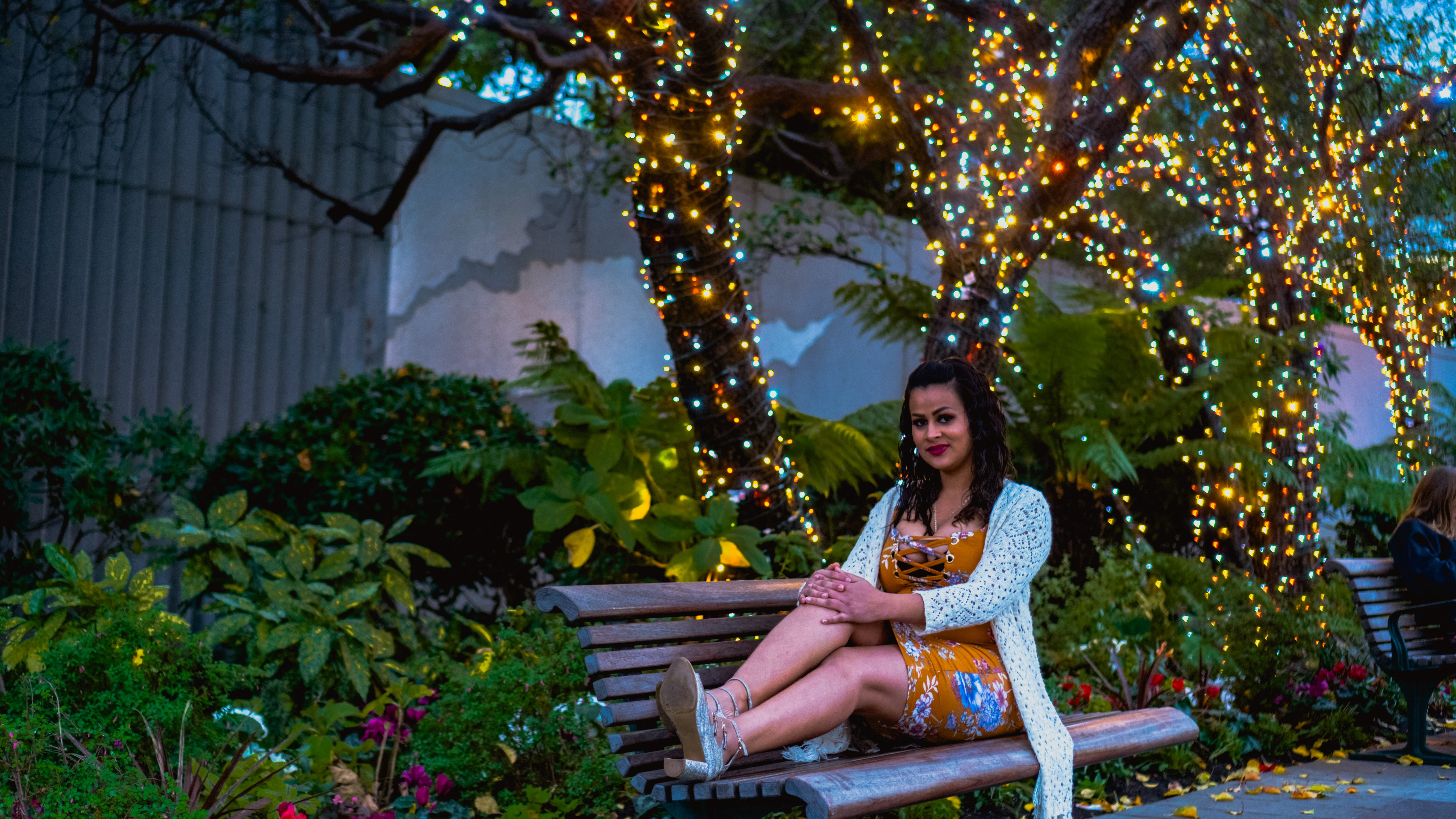 lifestyles, seat, beauty, christmas, leisure activity, adult, winter, yerba buena lane, happiness, one person, united states, nature, plant, beautiful woman, HD Wallpaper