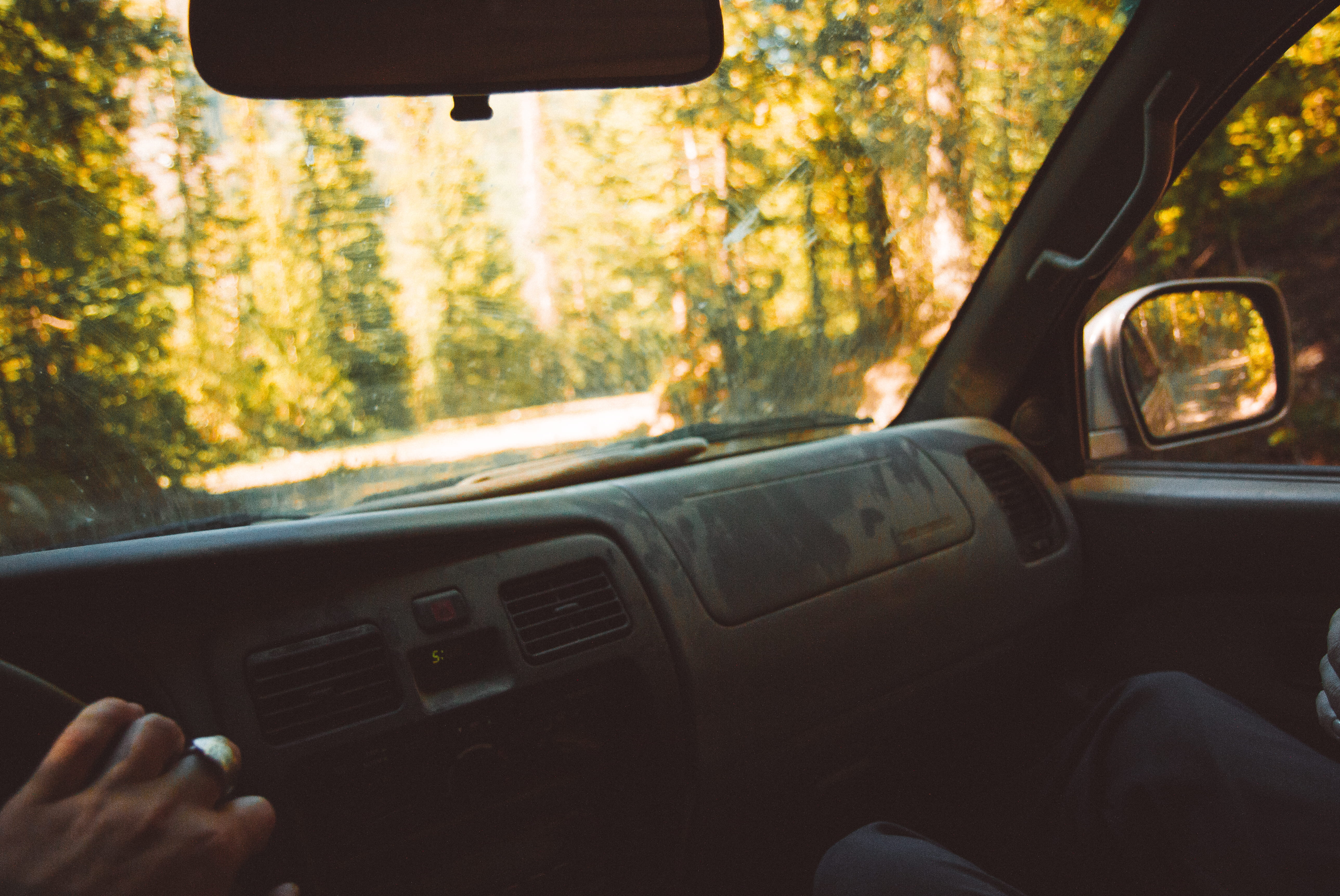 indoors, adventure, united states, nature, 5K, one person, day, land vehicle, dashboard, car ride, mode of transportation, back roads, steering wheel, HD Wallpaper