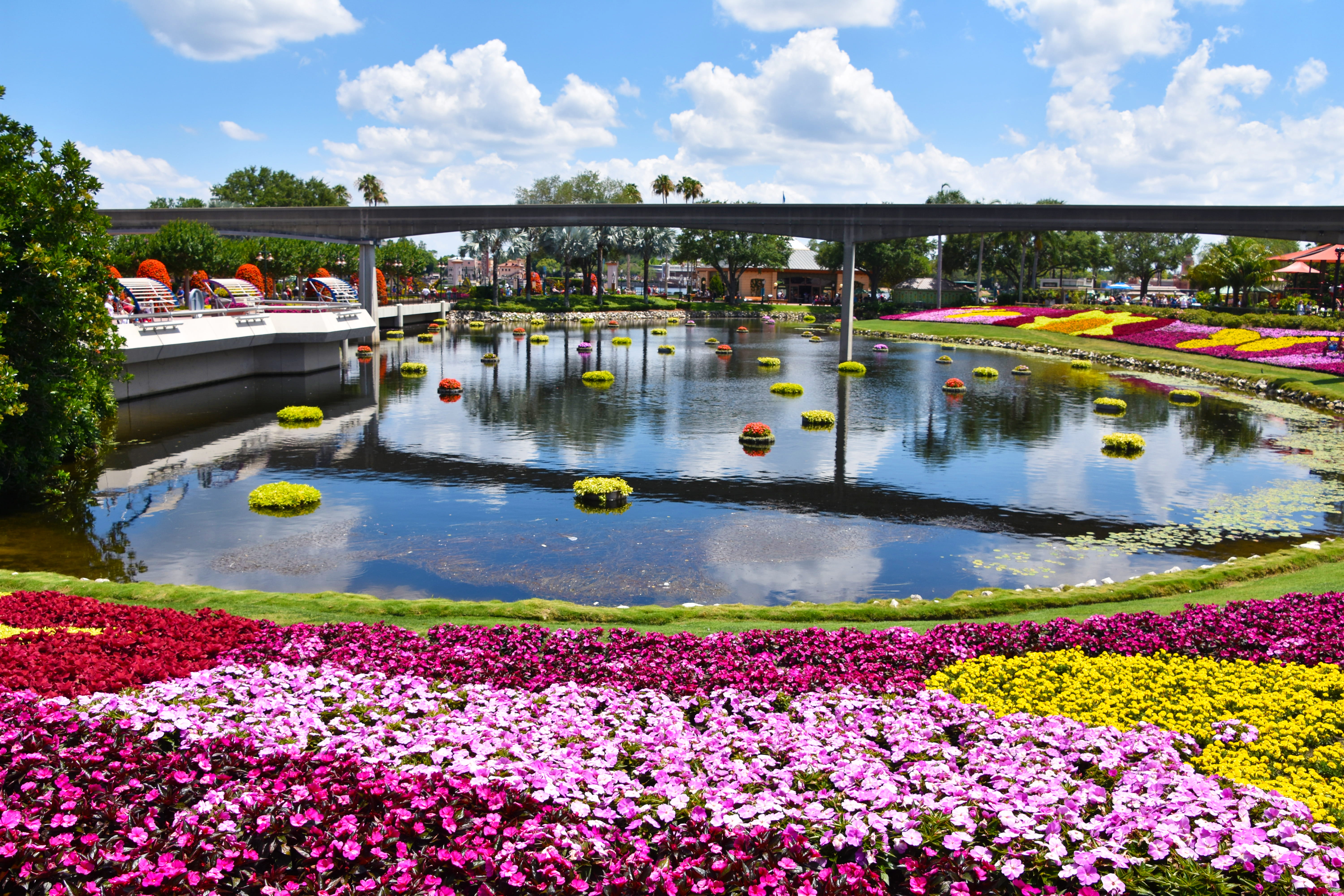 transportation, flowers, disney, epcot, plant, lake, beauty in nature, incidental people, tree, outdoors, day, united states, water, cloud - sky, sky, 5K, HD Wallpaper
