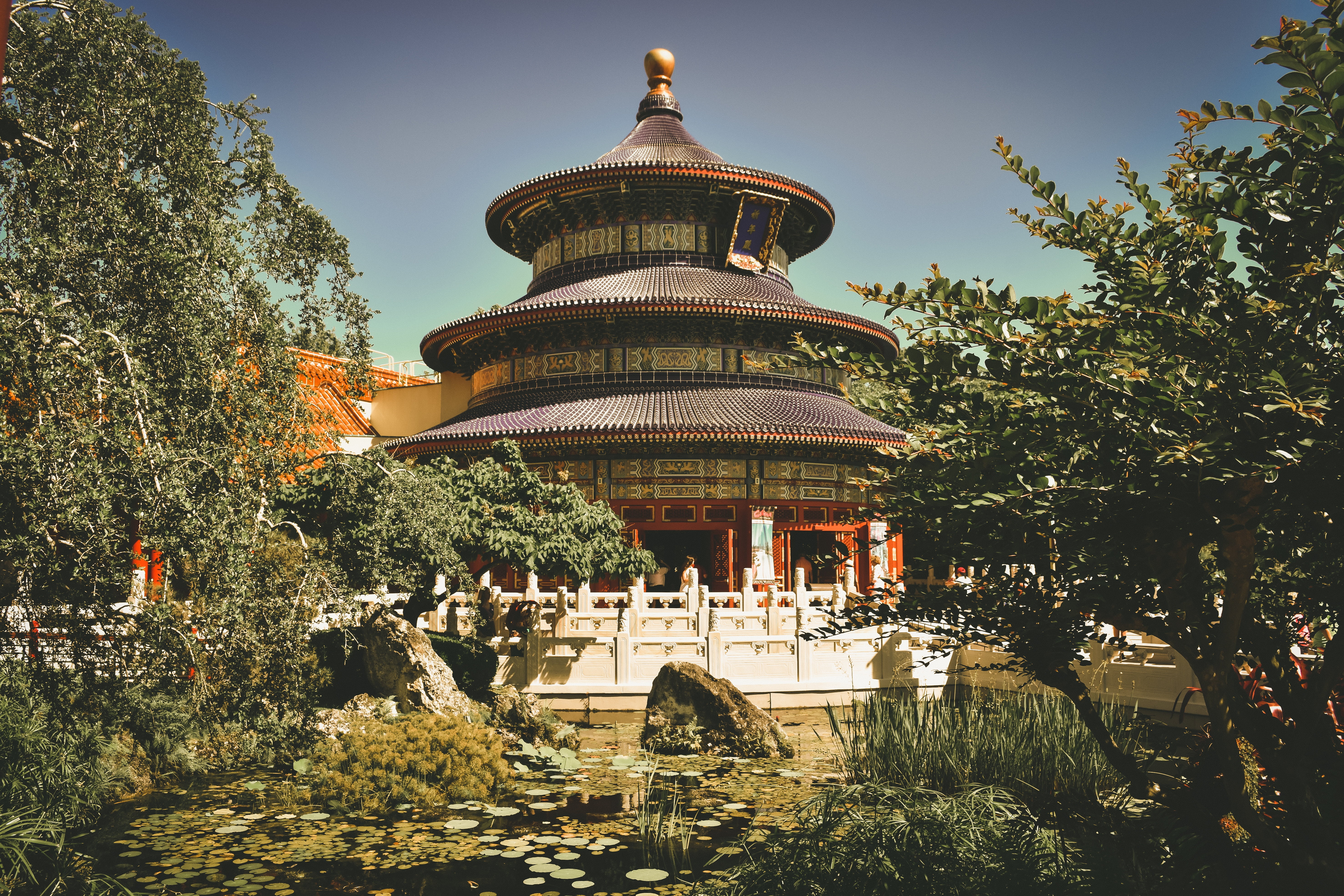 clear, orlando, plant, building, tree, outdoors, history, colorfull, belief, earth, building exterior, black, place of worship, chinese, colors, architecture, HD Wallpaper