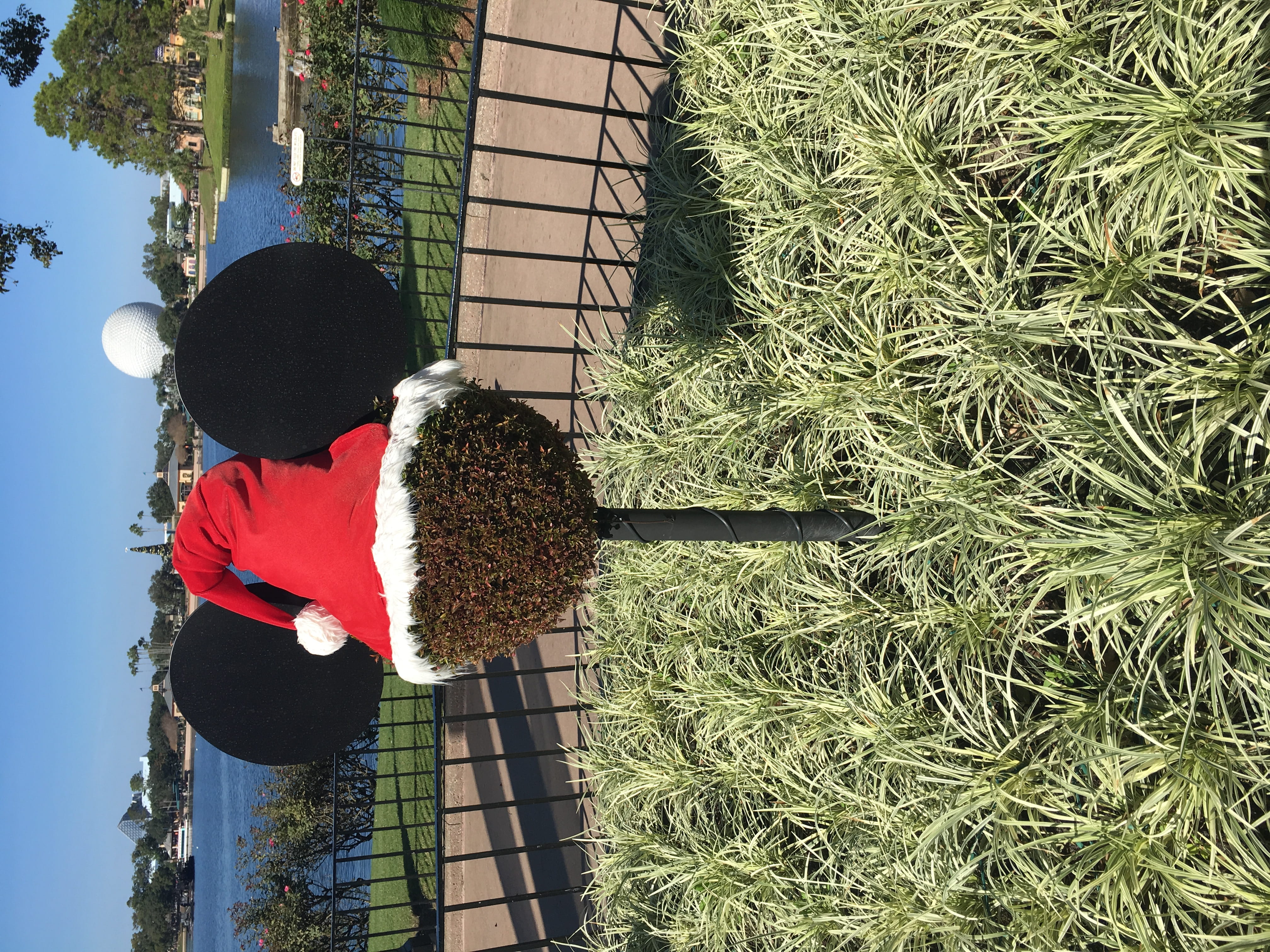 real people, casual clothing, rear view, lifestyles, day, sunlight, hairstyle, epcot, 4K, plant, child, adult, holiday, santa, land, men, nature, women, HD Wallpaper