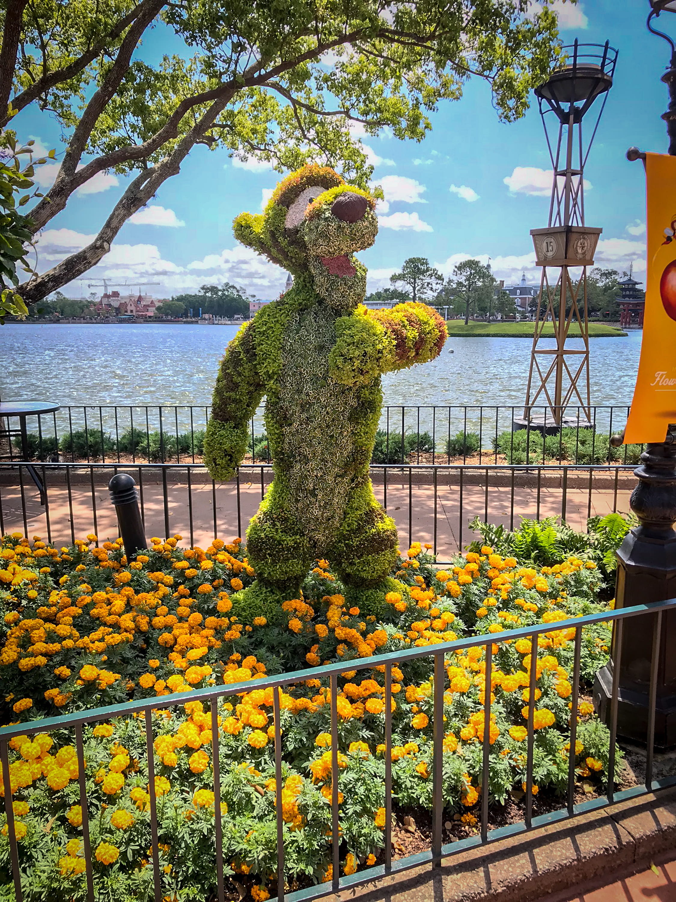 beauty in nature, outdoors, freshness, flowers, day, epcot, flowering plant, disney, tree, yellow, human arm, nature, lifestyles, tiger, railing, flower, Phone HD Wallpaper