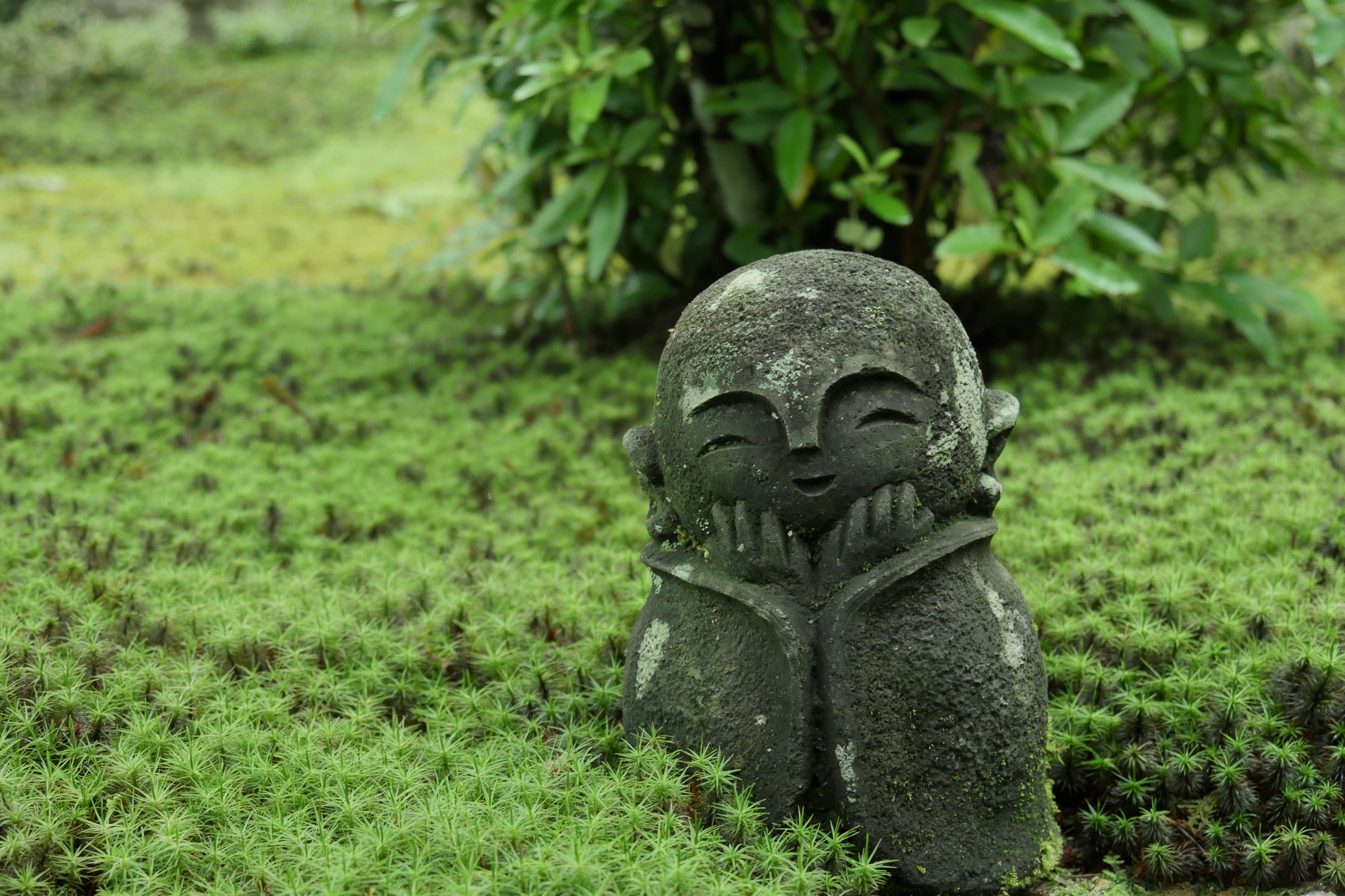 plant, grass, green color, religion, focus on foreground, nature, craft, representation, art and craft, cute, creativity, land, kyoto, human representation, HD Wallpaper