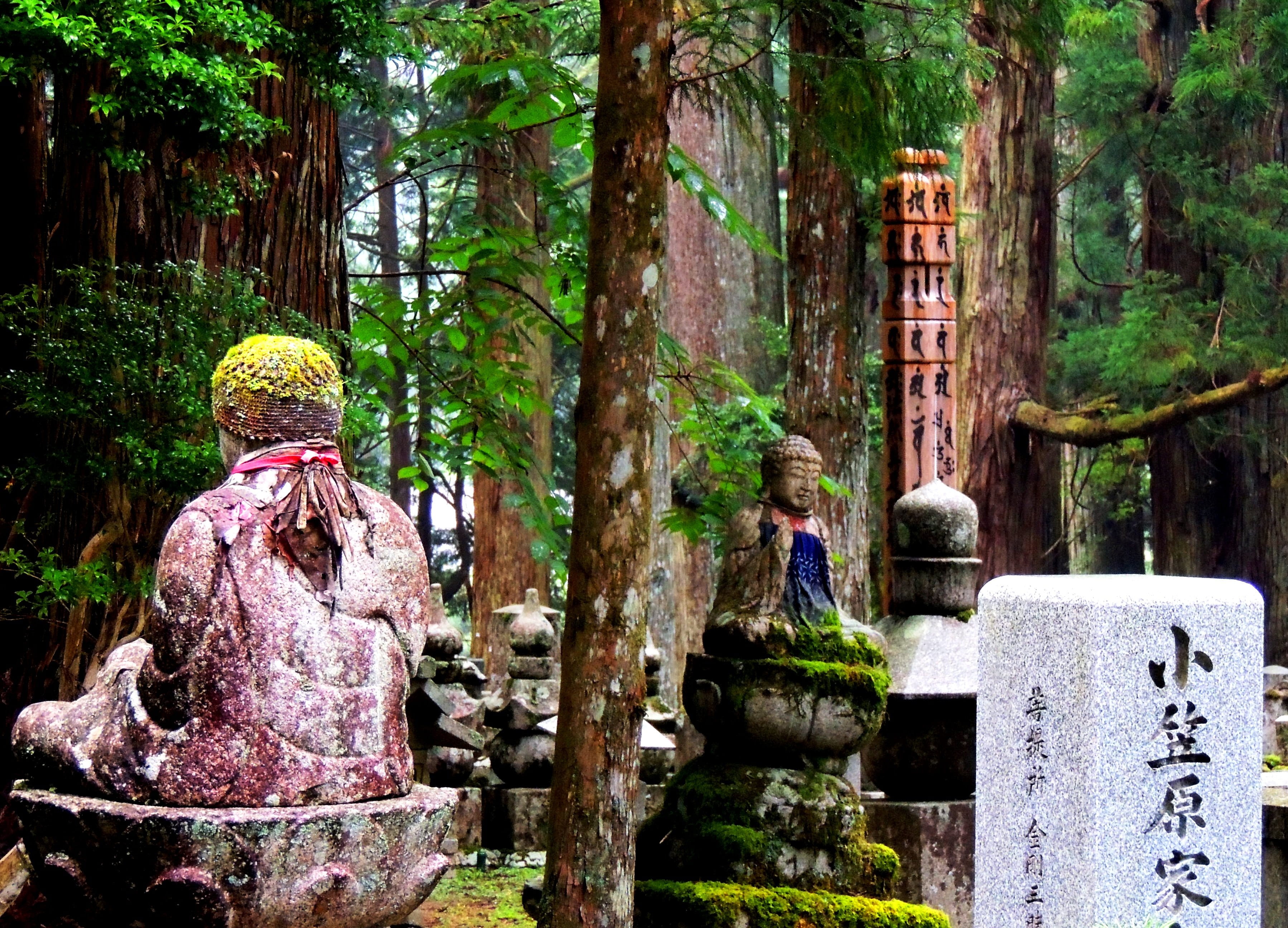 spirituality, plant, human representation, buddhism, art and craft, built structure, koyasan, nature, male likeness, day, jizo, belief, tree, 2K, stone material, HD Wallpaper