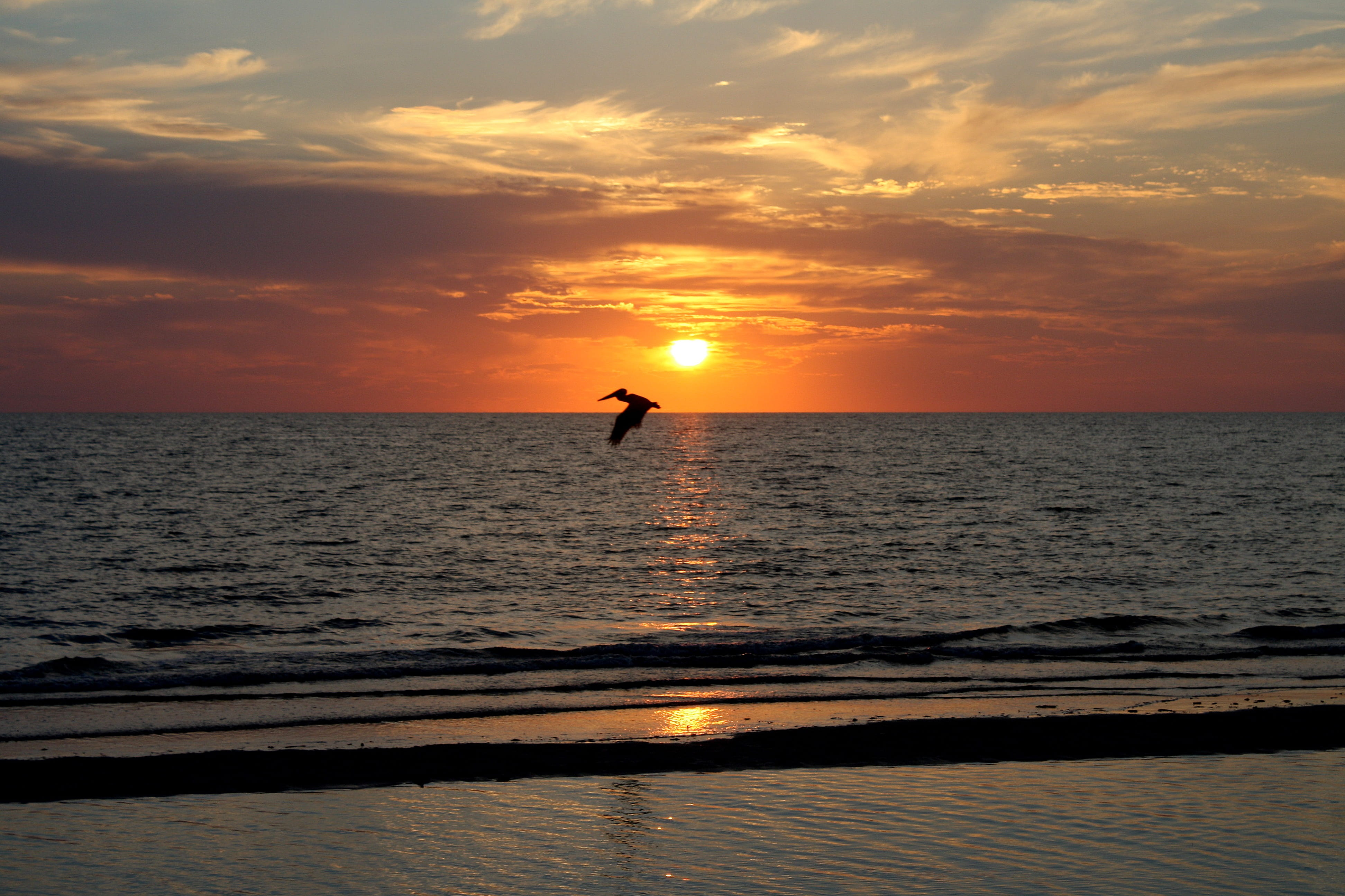 beauty in nature, sky, scenics - nature, 4K, nature, horizon over water, florida, holiday, cloud - sky, beautiful beaches, tranquil scene, one person, HD Wallpaper