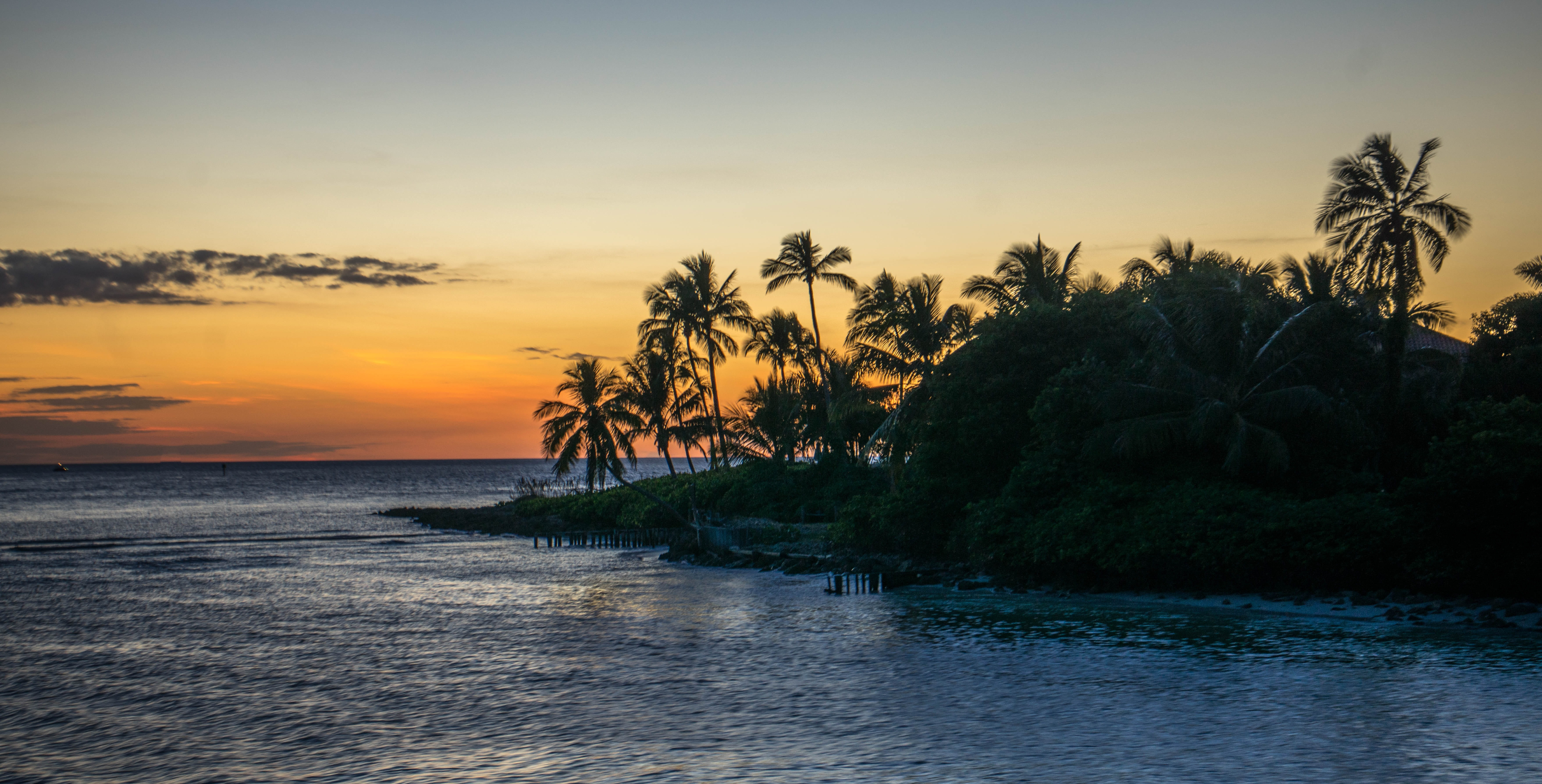 ocean, tree, sea, tropical tree, nature, island, sunset, coconut palm tree, scenics - nature, plant, summer, landscape, palm tree, sky, idyllic, romantic sky, HD Wallpaper
