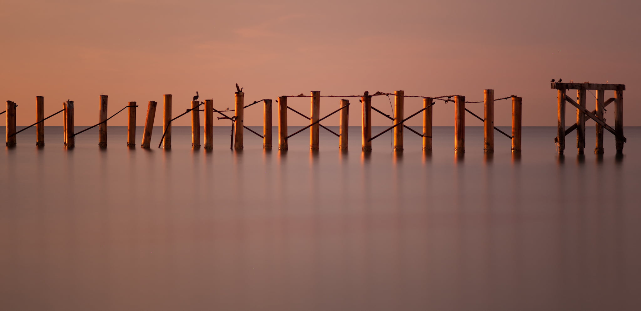 muelle, sea, Architecture, water, T* 2, Newport, sunny isles, florida, usa, amanecer, 1080P, playa, canon, body, sunset, posts, sunrise, body of water, HD Wallpaper