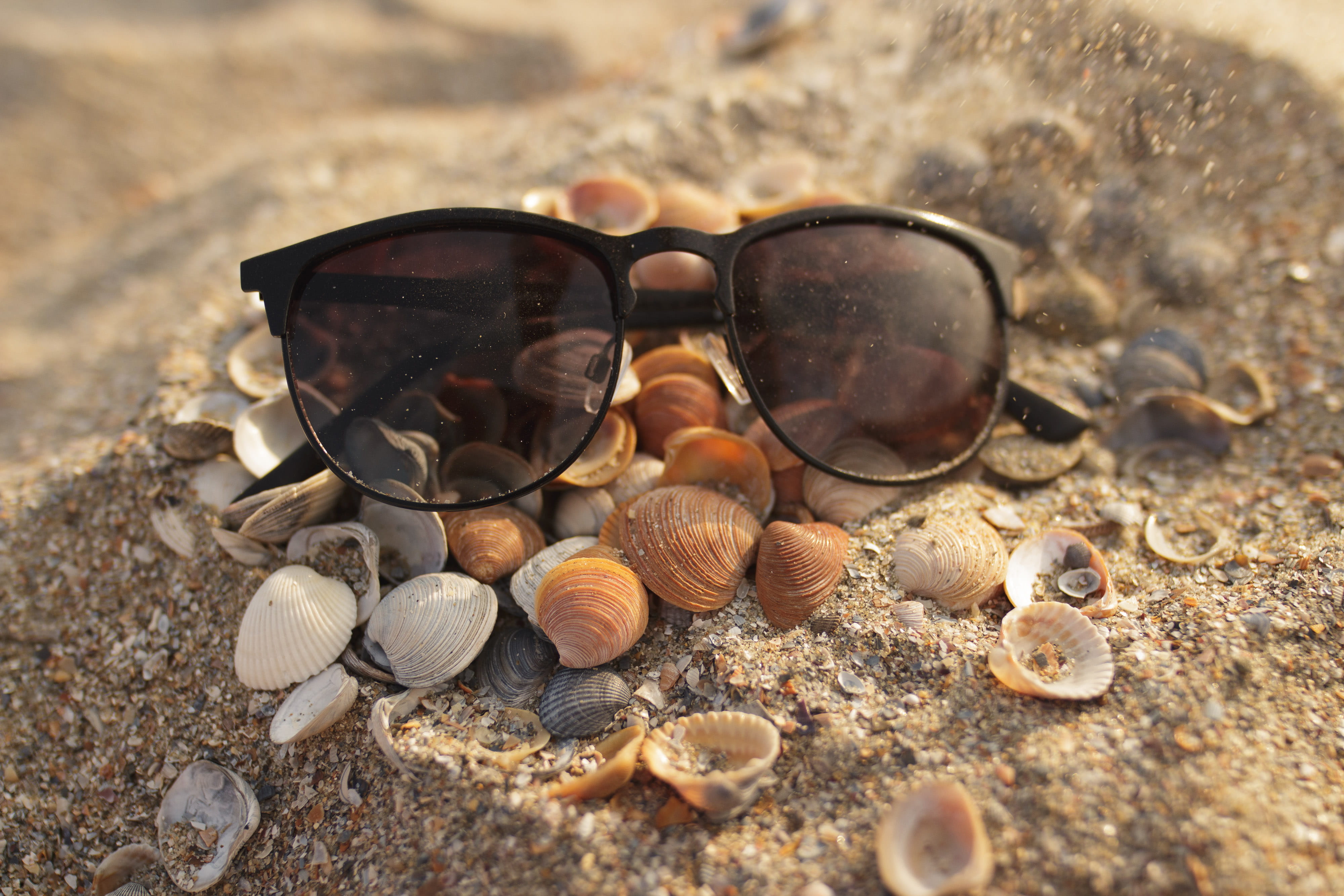 golden, beach, rock, large group of objects, solid, nature, 4K, animal shell, white, close-up, fashion, no people, macro, sunset, seashell, orange, hour, HD Wallpaper