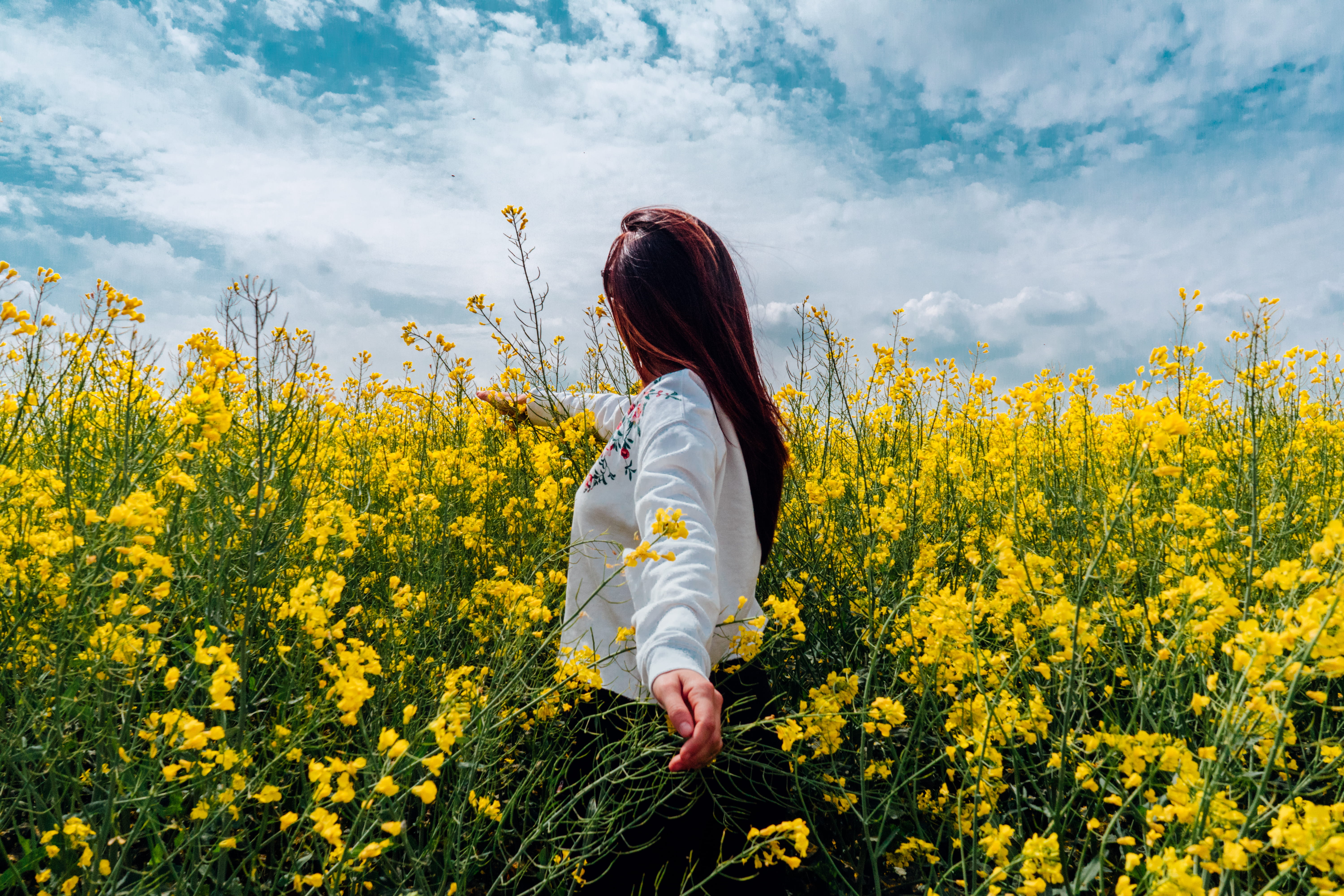 flora, mustard plant, flower, land, face, sky, woman, Outdoor, crop, human, nature, hair, freshness, 5K, yellow, flowering plant, landscape, countryside, HD Wallpaper