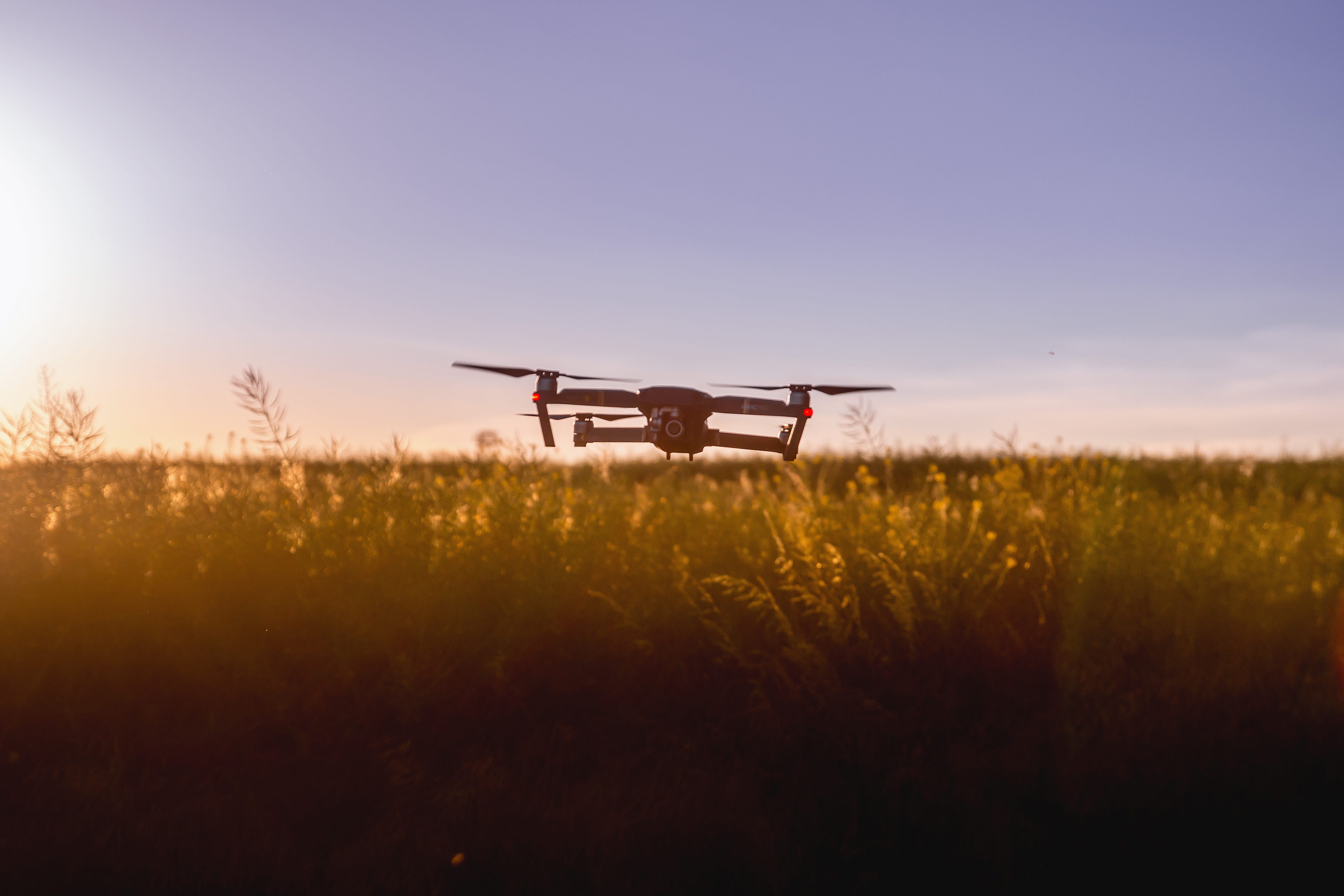 nature, environment, growth, sunlight, tranquil scene, transportation system, outdoors, plant, flying, beauty in nature, video, dawn, aviation, sun, 4K, HD Wallpaper