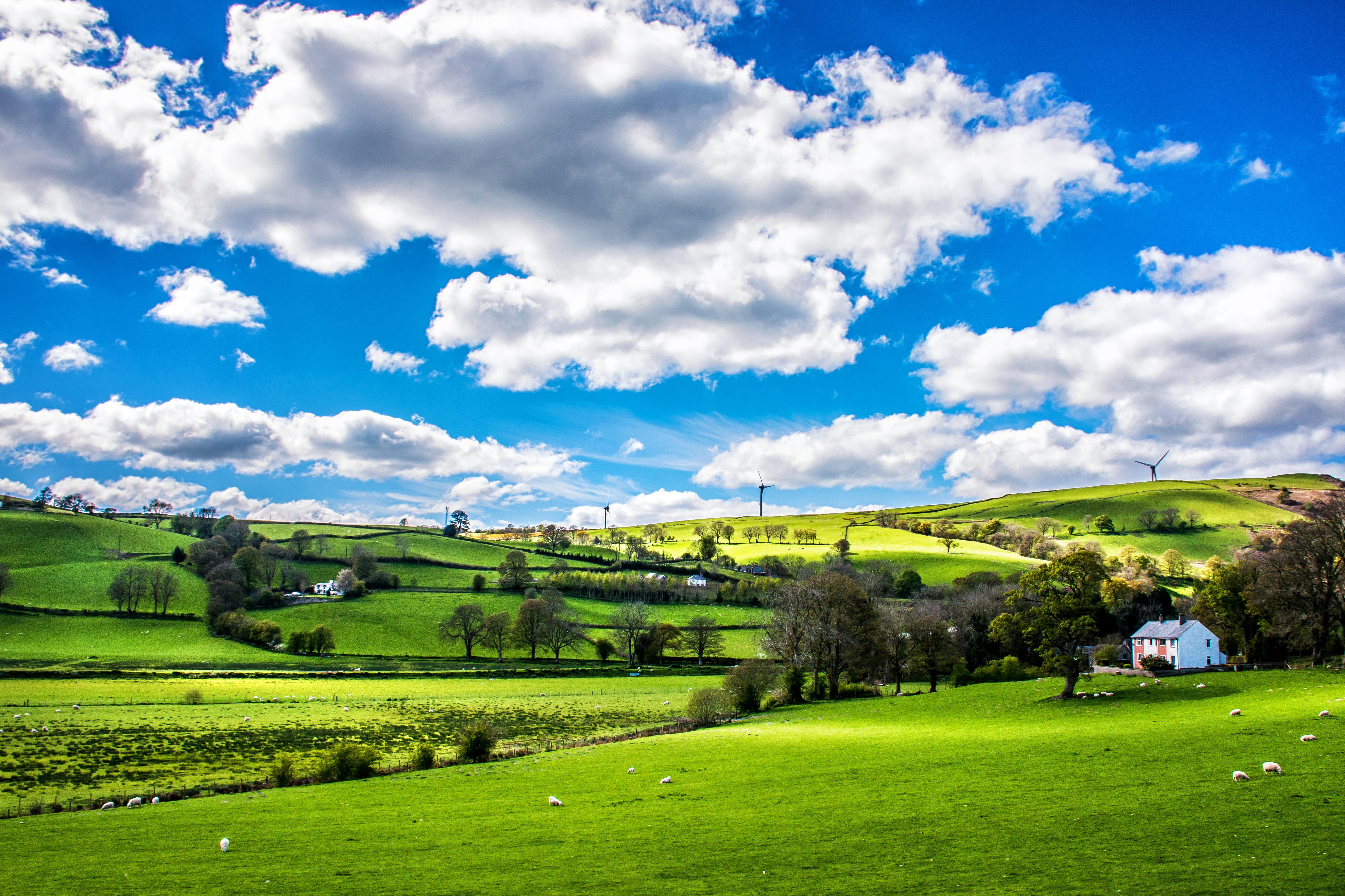 blue, tree, sky, growth, beauty in nature, sight, landscape, clouds, green, plant, environment, rural scene, green color, 5K, outdoors, cloud - sky, no people, HD Wallpaper