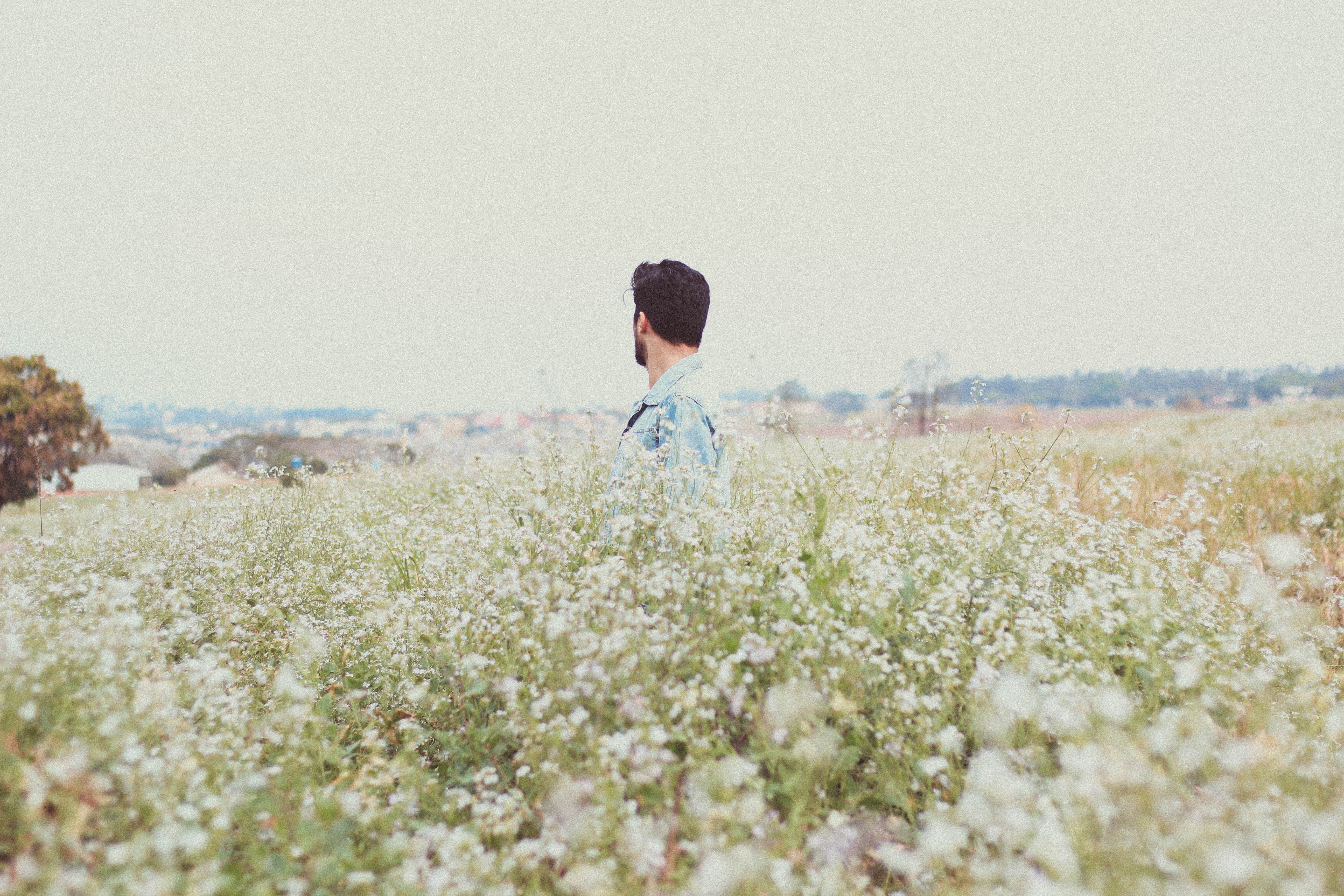 flowering plant, blur, tranquility, grass, selective focus, bright, person, environment, flowers, field, sunny, nature, 5K, sky, beauty in nature, landscape, HD Wallpaper