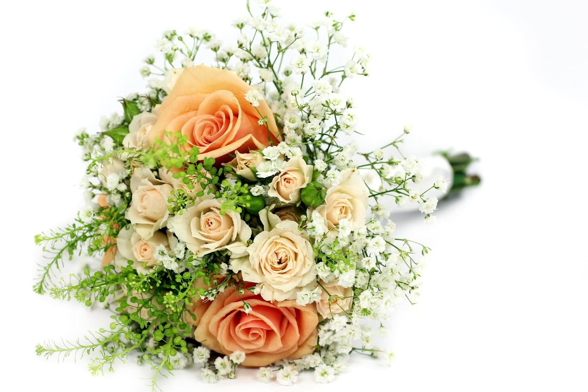 bouquet, love, vulnerability, white background, celebration, isolated, fragility, backgrounds, white, red, leaf, nature, day, freshness, flower, indoors, HD Wallpaper