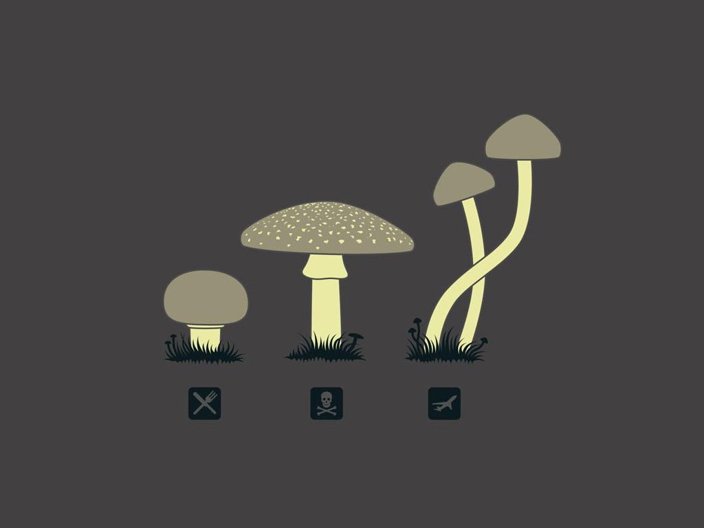 three, plant, electric light, gray, illustration, technology, mushrooms, no people, electric lamp, studio shot, illuminated, text, copy space, communication, HD Wallpaper
