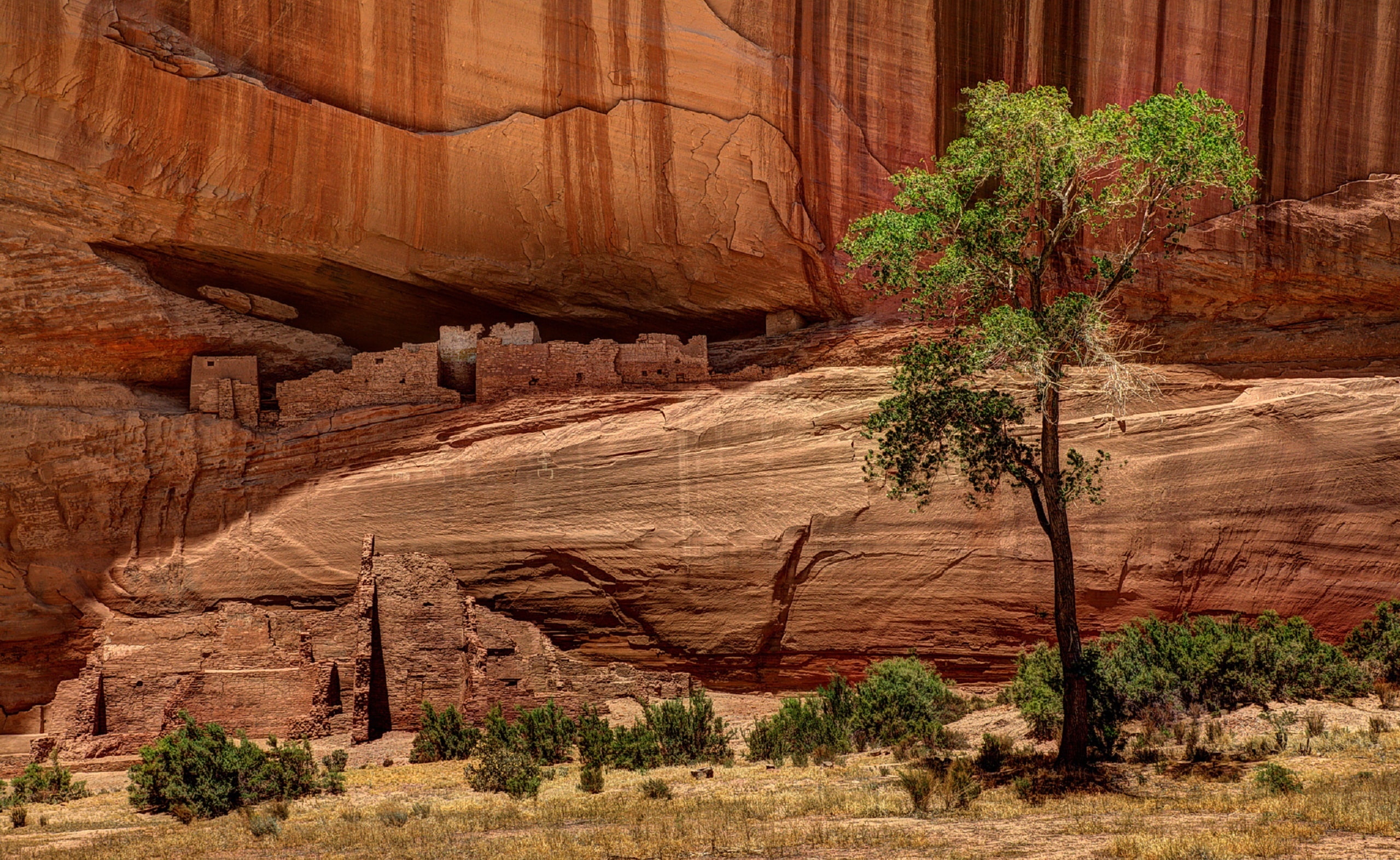 non-urban scene, national, Canyon, United States, land, tree, beauty in nature, ruins, tranquility, scenics - nature, day, house, green, Arizona, geology, HD Wallpaper