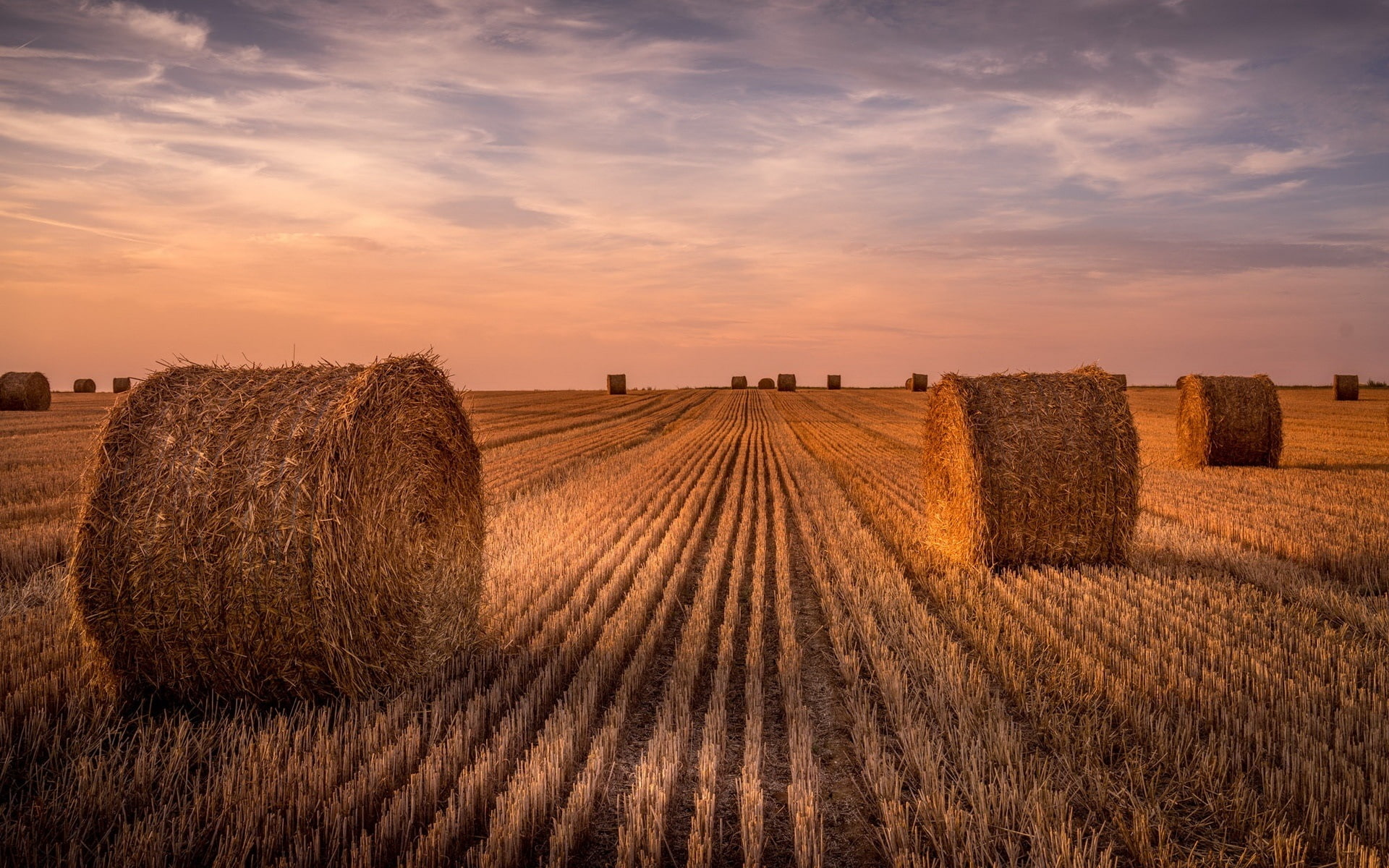Field, Sunset, Summer, Hay, 1080P, Wheat, HD Wallpaper