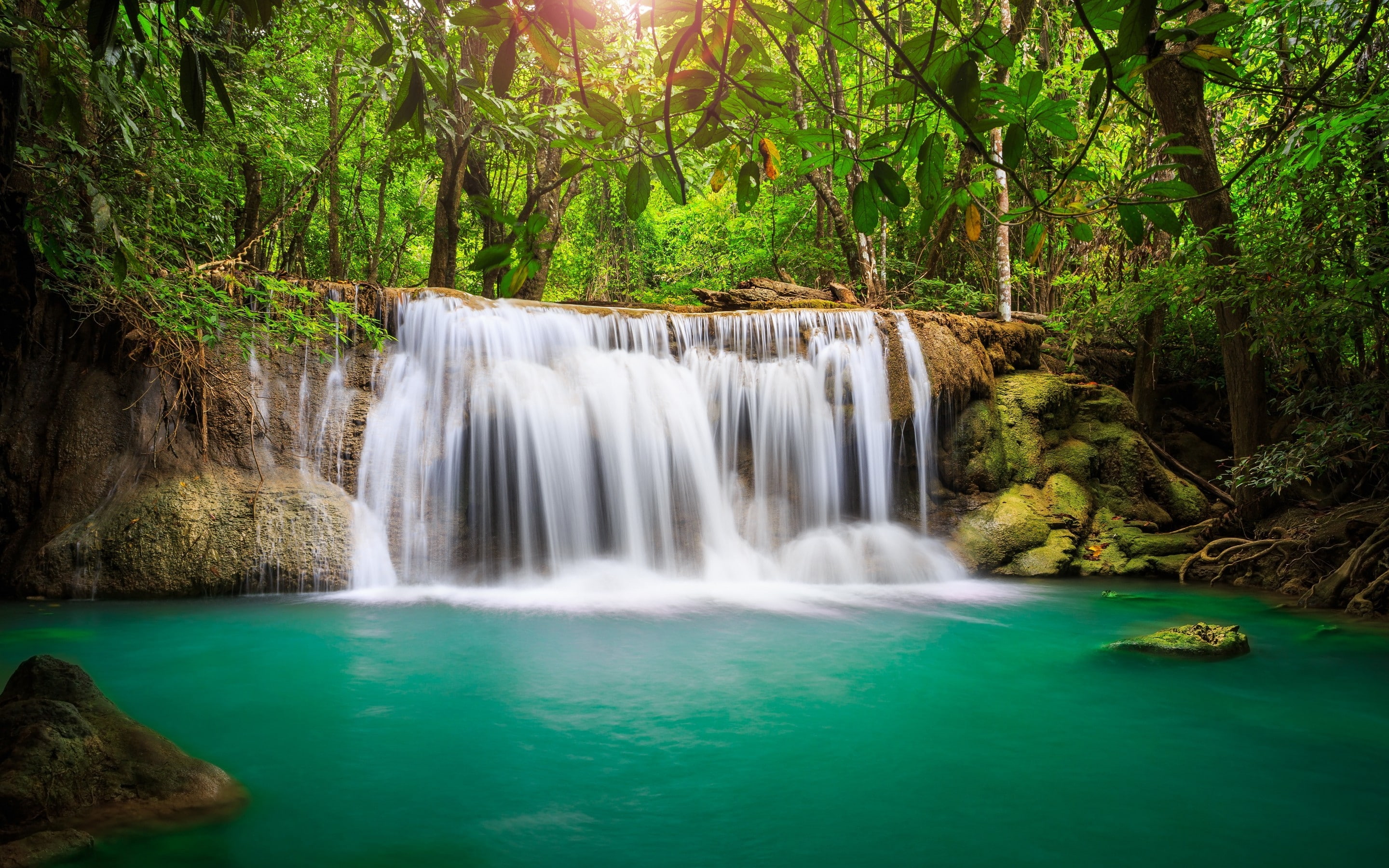 2K, small, landscape, forest, cascade, HD Wallpaper