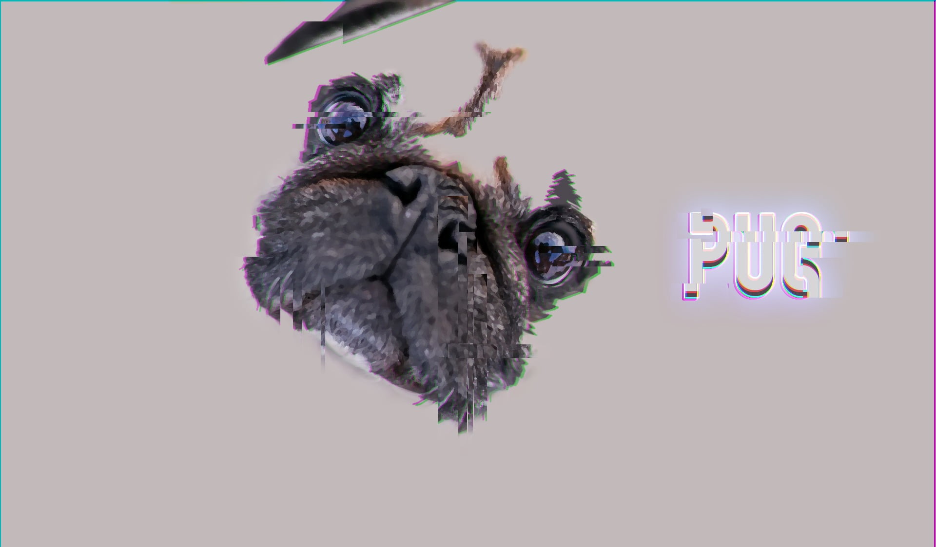 portrait, looking at camera, dog, fun, animal body part, 1080P, no people, celebration, glitch art, halloween, animal wildlife, copy space, indoors, one animal, HD Wallpaper