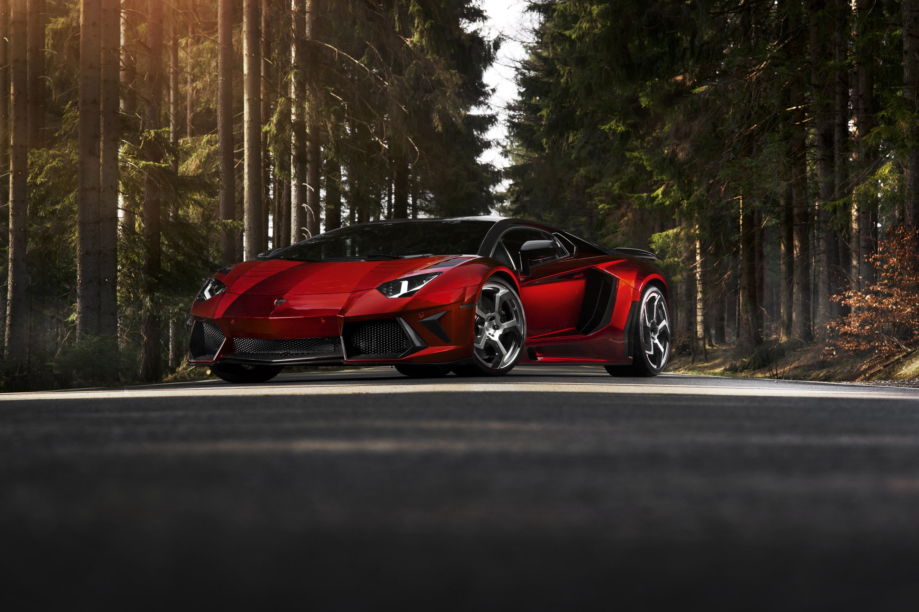 nature, motor vehicle, 2K, mode of transportation, car, Lamborghini Aventador, selective focus, plant, land vehicle, surface level, day, cbr, outdoors, HD Wallpaper
