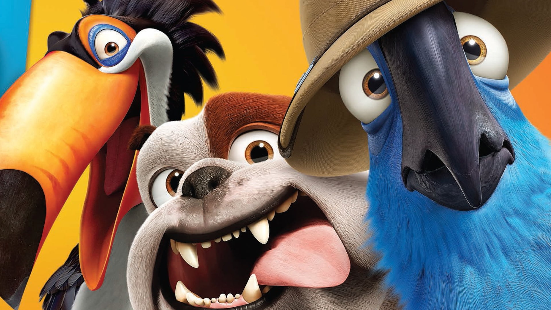 rio 2, movie, parrot, bird, eyes, caine, blue, Rio 2 (2014), pasare, dog, 1080P, macaw, hat, poster, HD Wallpaper