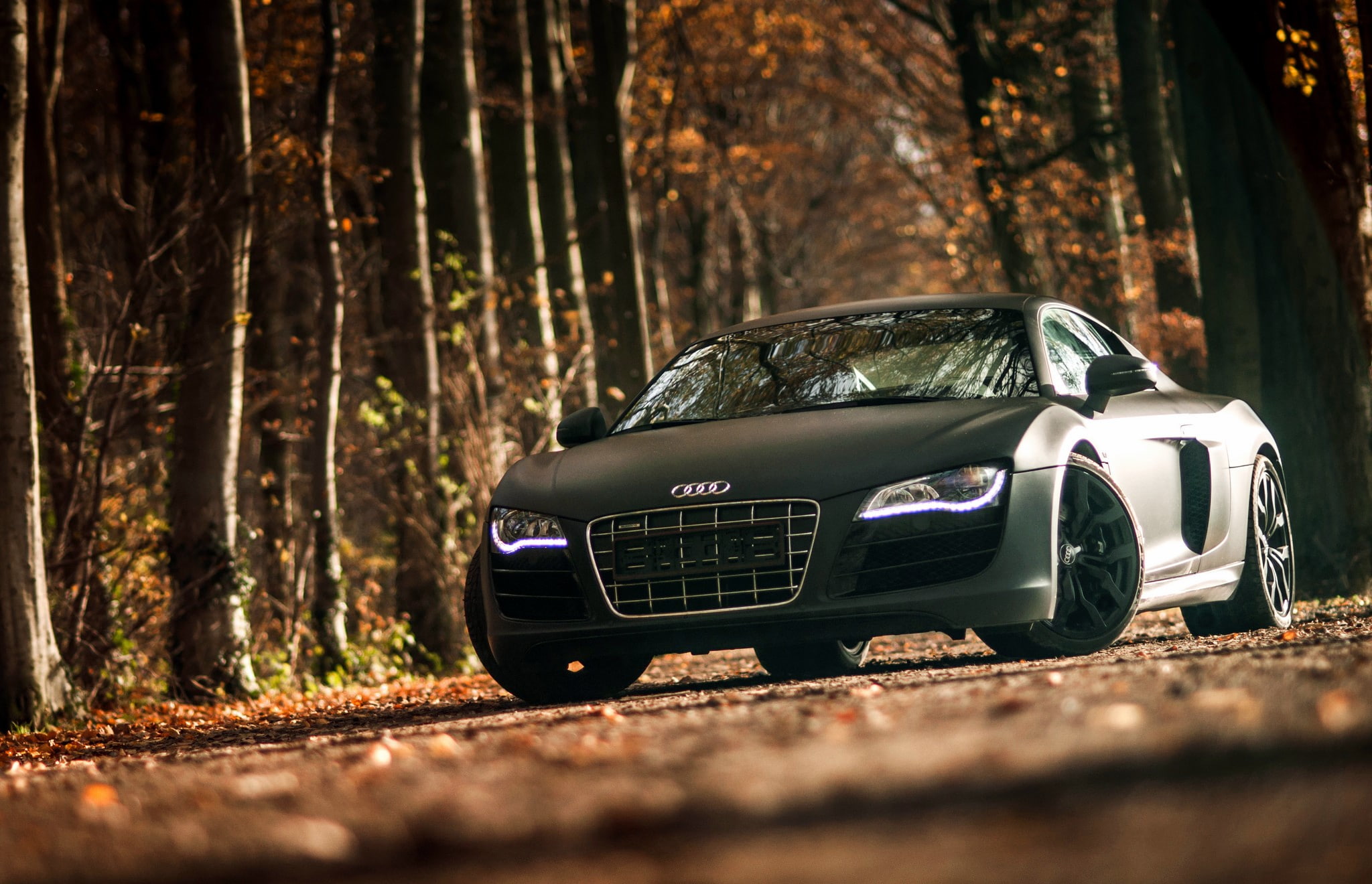selective focus, motor vehicle, tree trunk, forest, tree, land, Audi, nature, no people, 1080P, road, R8, trunk, transportation, sunlight, woodland, outdoors, HD Wallpaper
