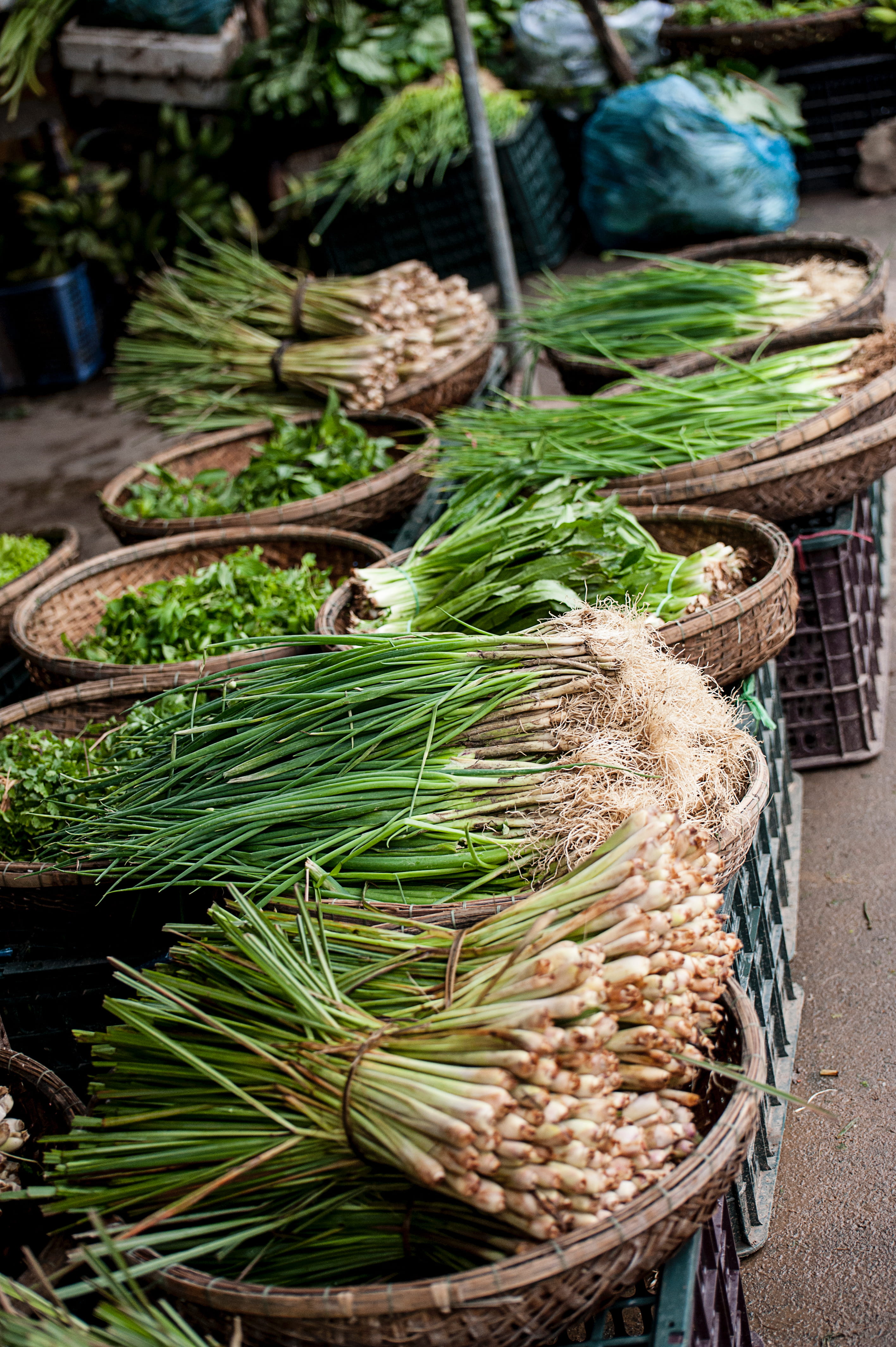 selling, plant, agriculture, market stall, choice, for sale, vegetables, green color, asia, food, onion, spring onion, Vegetable, herbs, herb, organic, Phone HD Wallpaper