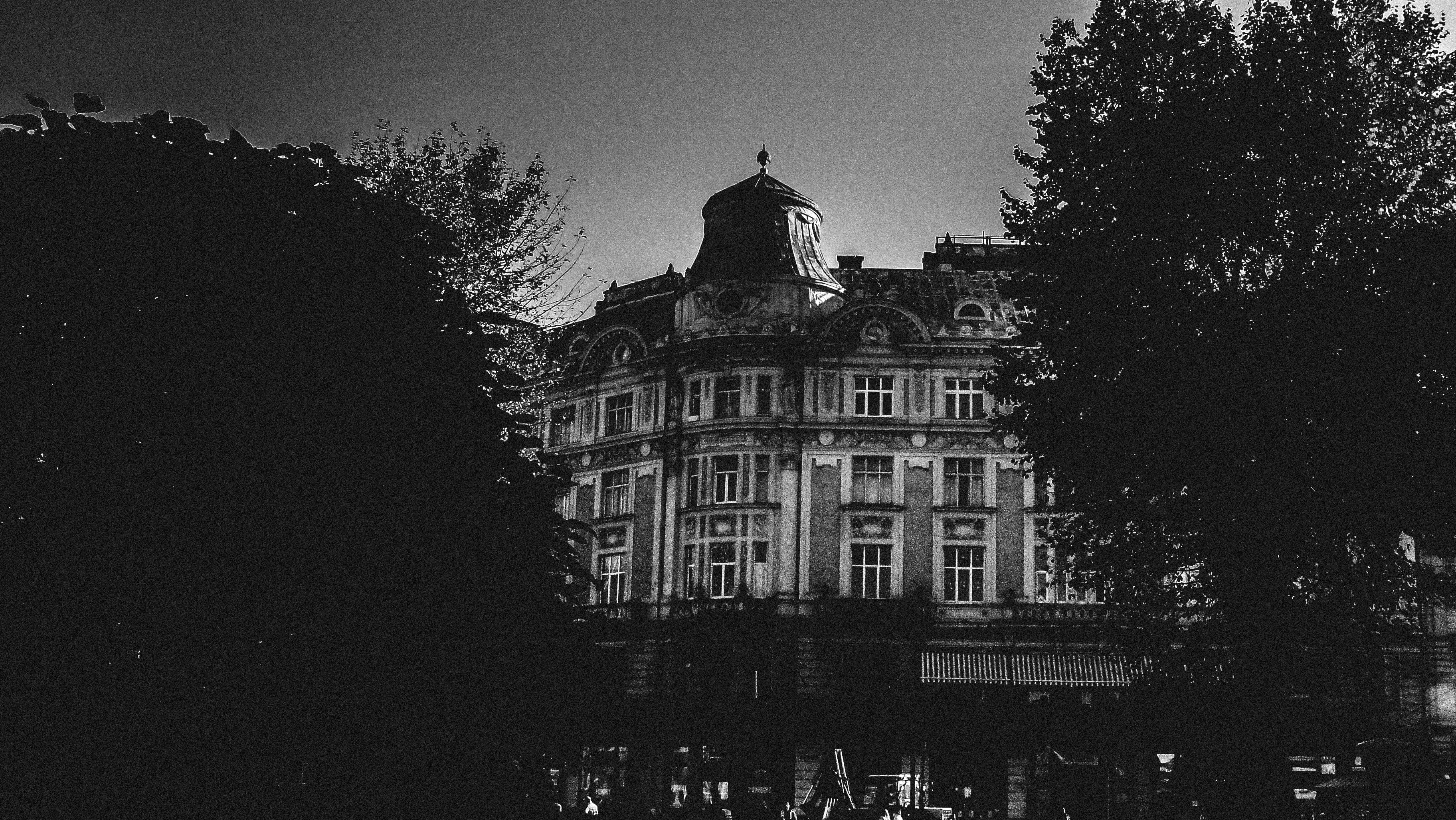 lviv, history, 2K, nature, built structure, clear sky, building, the past, architecture, travel destinations, plant, bw, ukraine, no people, blackandwhite, HD Wallpaper