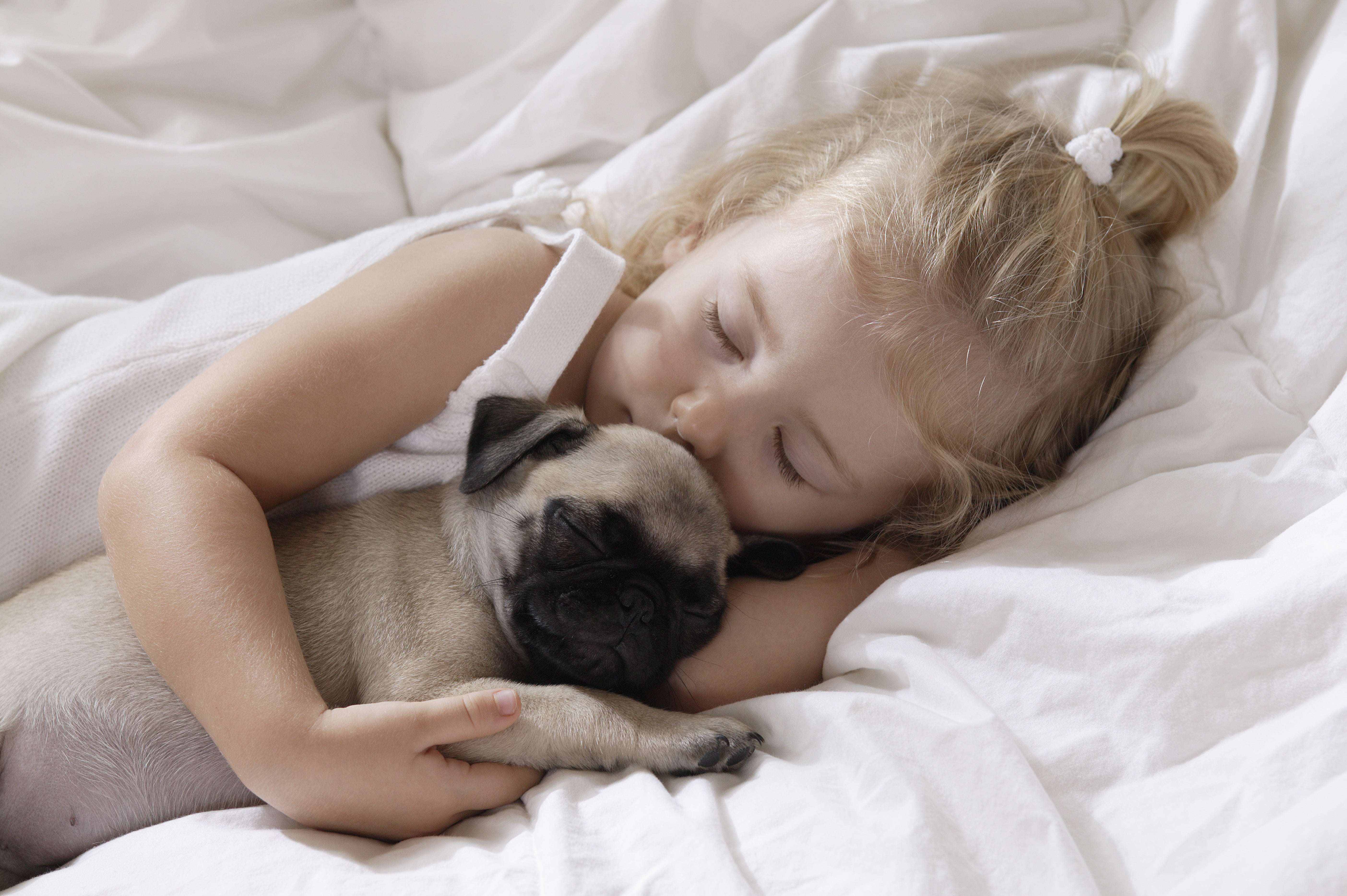 looking, duvet, people, child, domestic animals, sheet, small, human Face, morning, sleeping, smiling, girls, animal themes, beautiful, bedroom, blanket, HD Wallpaper