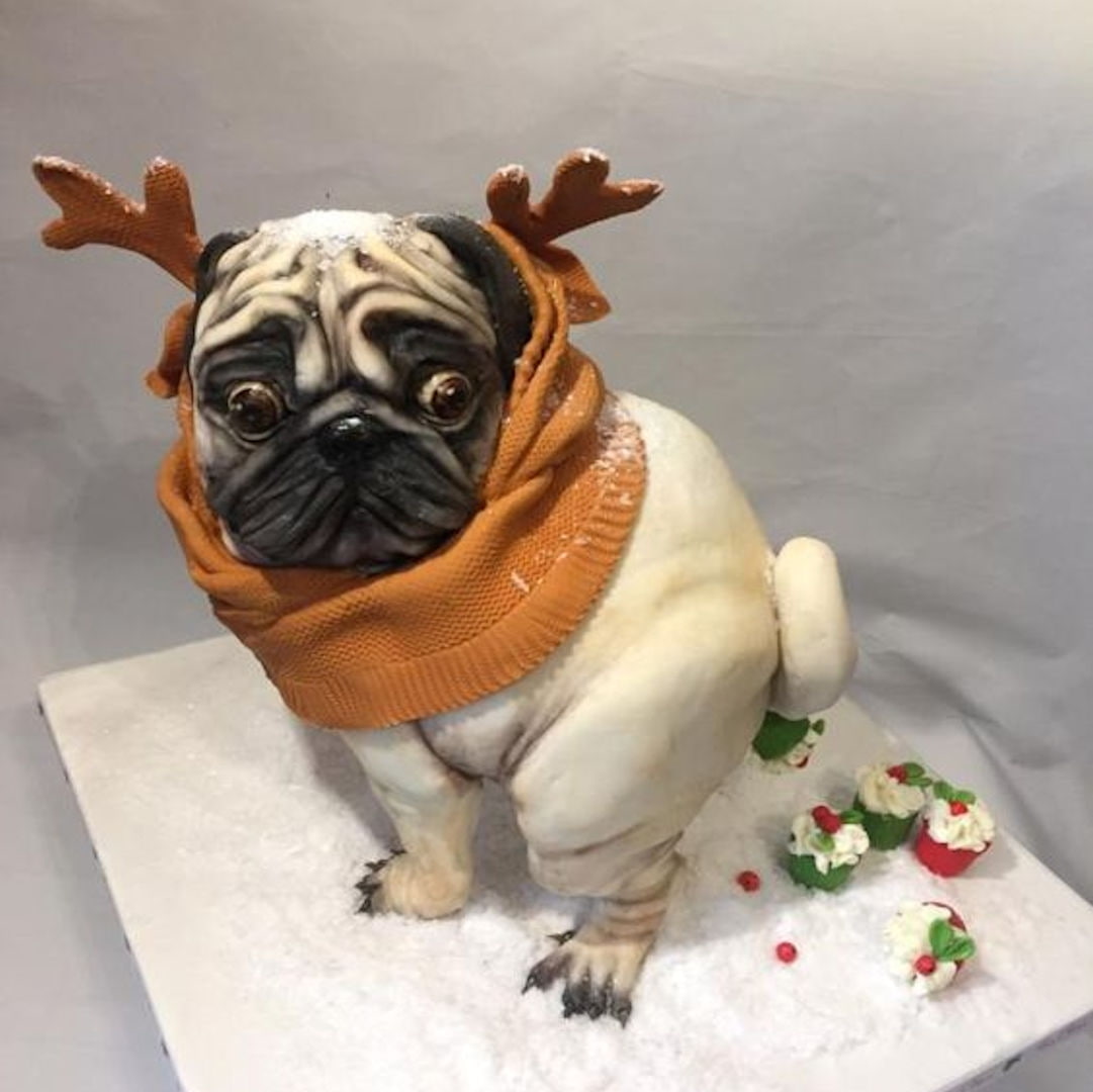 small cakes, lap dog, adorable, delicate, animal themes, vertebrate, domestic, over the top kitchen, indoors, dog cake, green, looking at camera, one animal, HD Wallpaper
