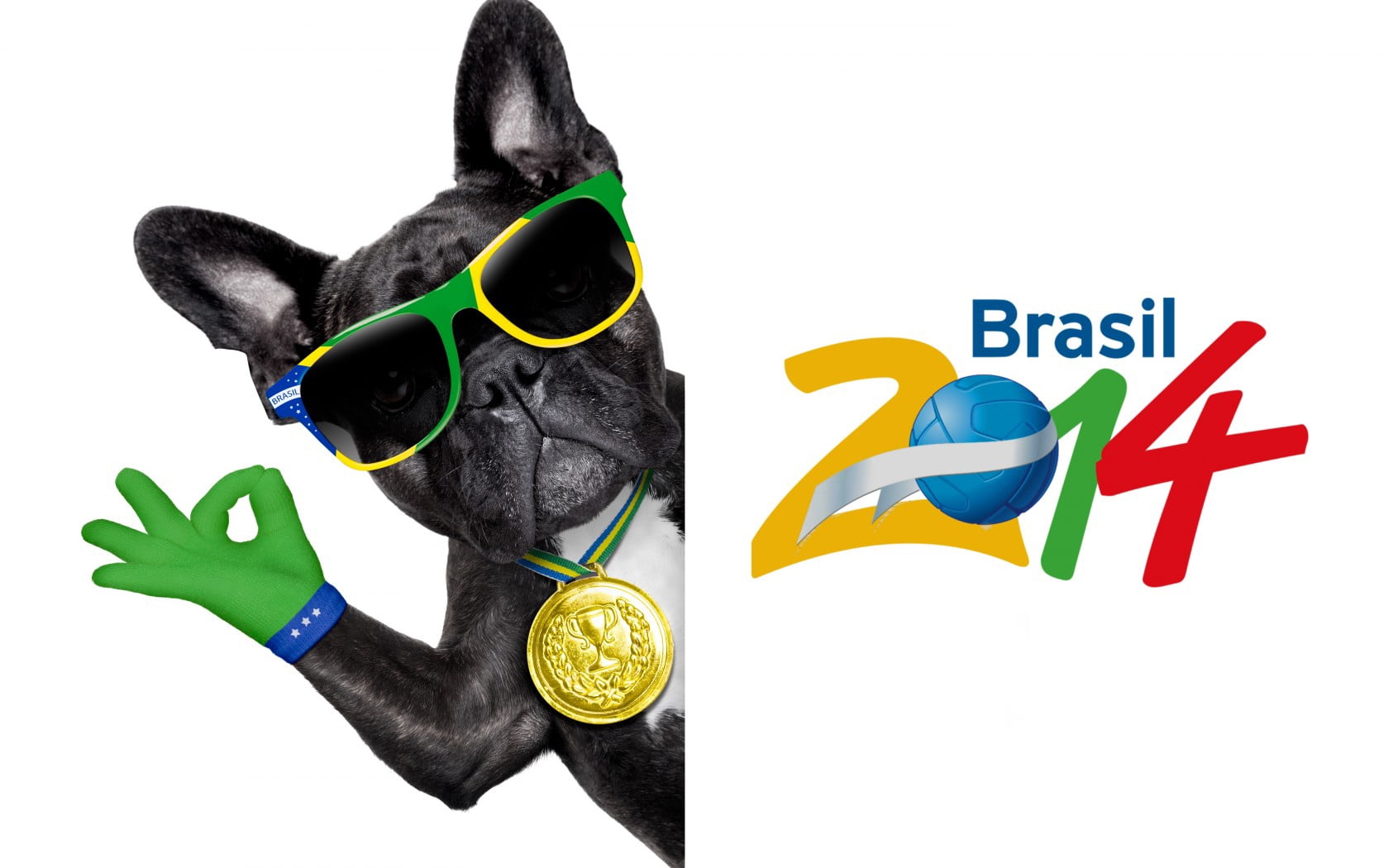communication, animal, canine, indoors, brasil, pug, puppy, fun, pets, dog, terrier, fifa, vertebrate, backgrounds, isolated, green color, cut out, holiday, HD Wallpaper