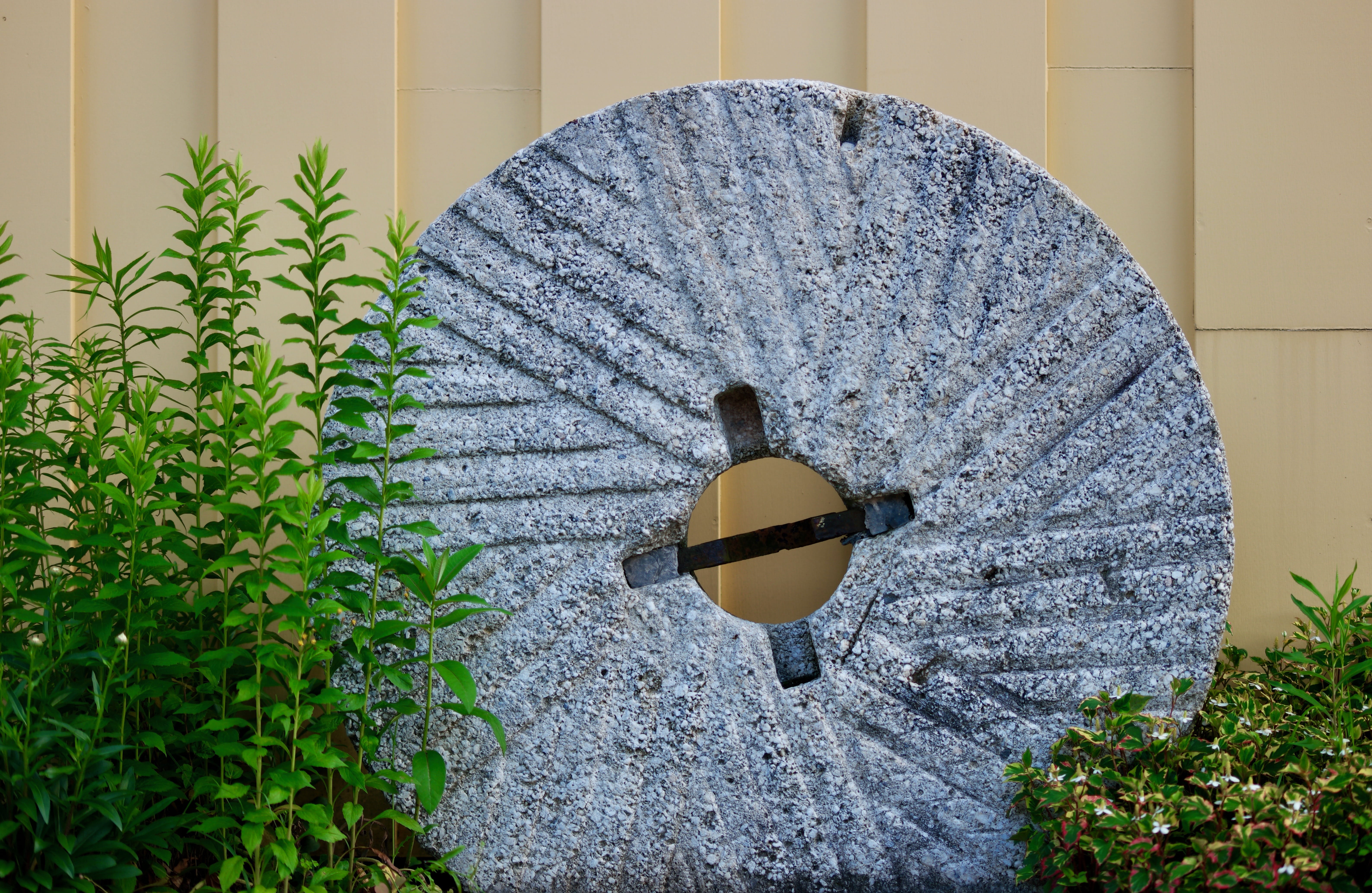 day, plant, outdoors, plant part, 5K, wall, leaf, wall - building feature, pattern, architecture, light fixture, nature, united states, building exterior, HD Wallpaper