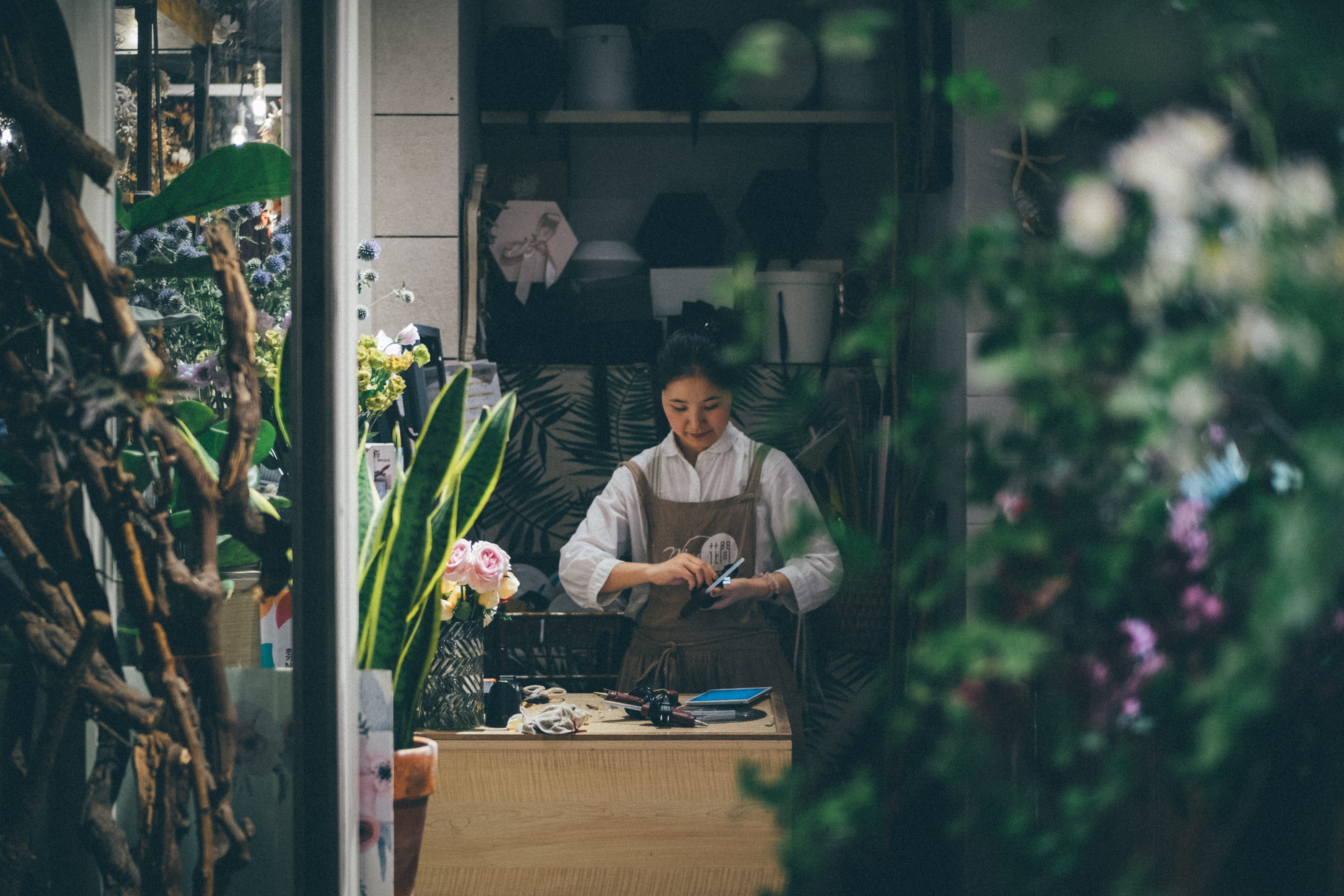 owner, apron, leaf, only Japanese, indoors, shop, florist, businessman, entrepreneur, flowers, lifestyles, woman, female, looking, males, teamwork, kyoto Prefecture, HD Wallpaper