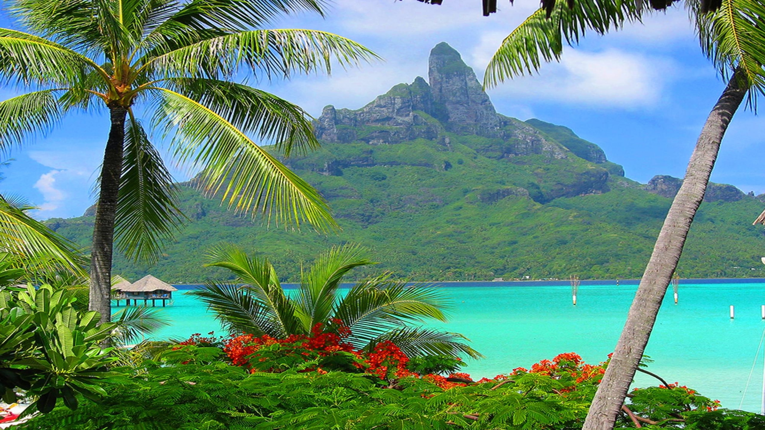 polynesia, bora, 2K, resort, south, HD Wallpaper