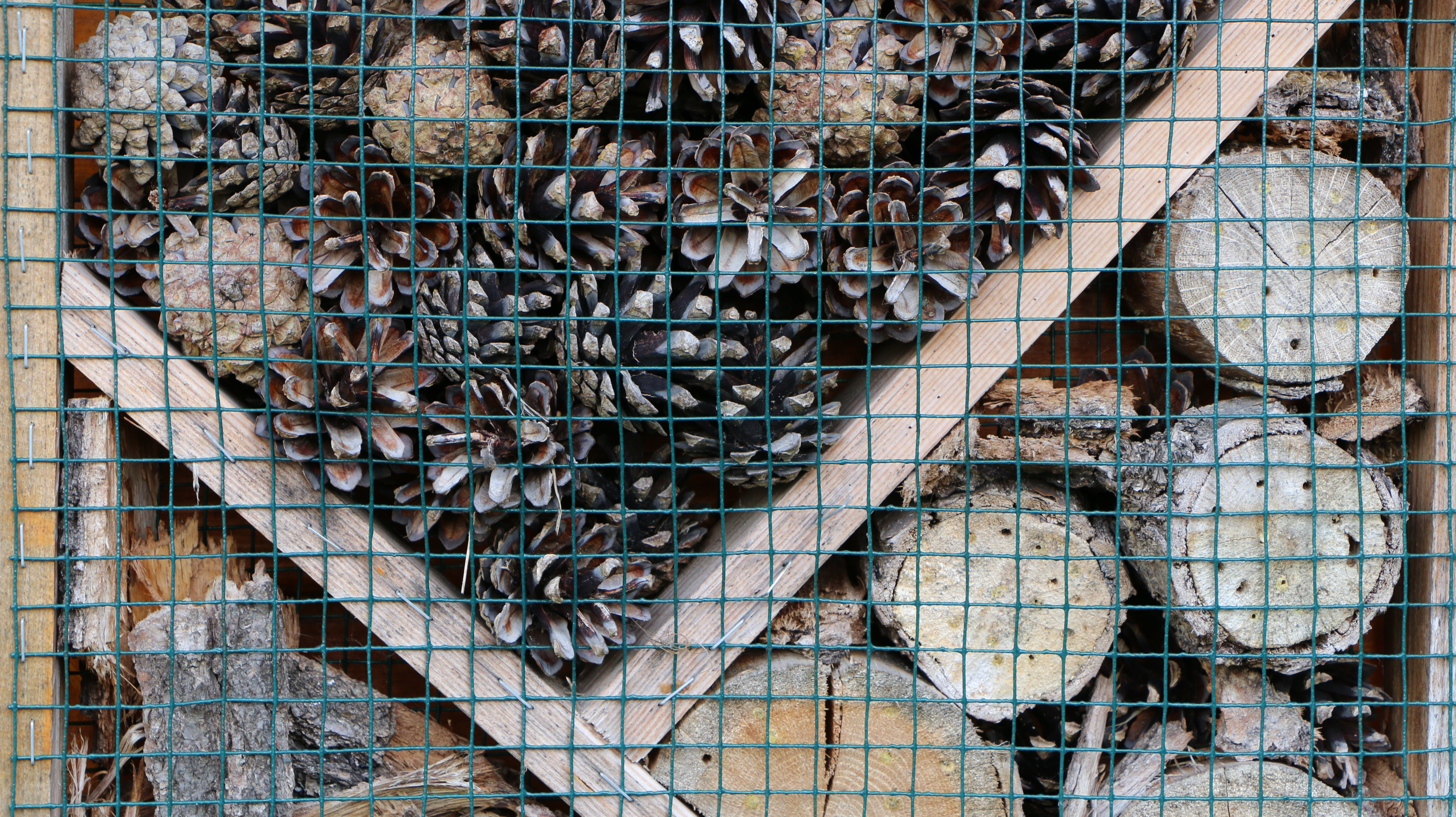 wall, building, full frame, woods, pattern, macro, perforated, insect house, boundary, close, nature, security, 5K, day, building exterior, nesting help, HD Wallpaper