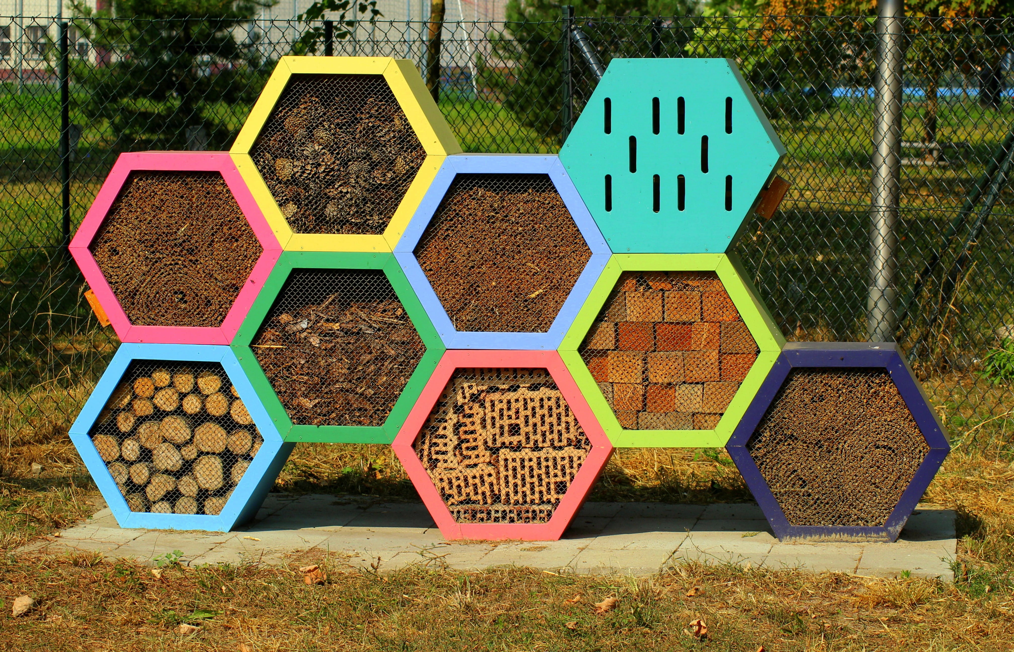 geometric shape, hexagon, bee, nature, hibernate, side by side, green color, pattern, plant, field, grass, sunlight, outdoors, in a row, red, growth, perforated, HD Wallpaper