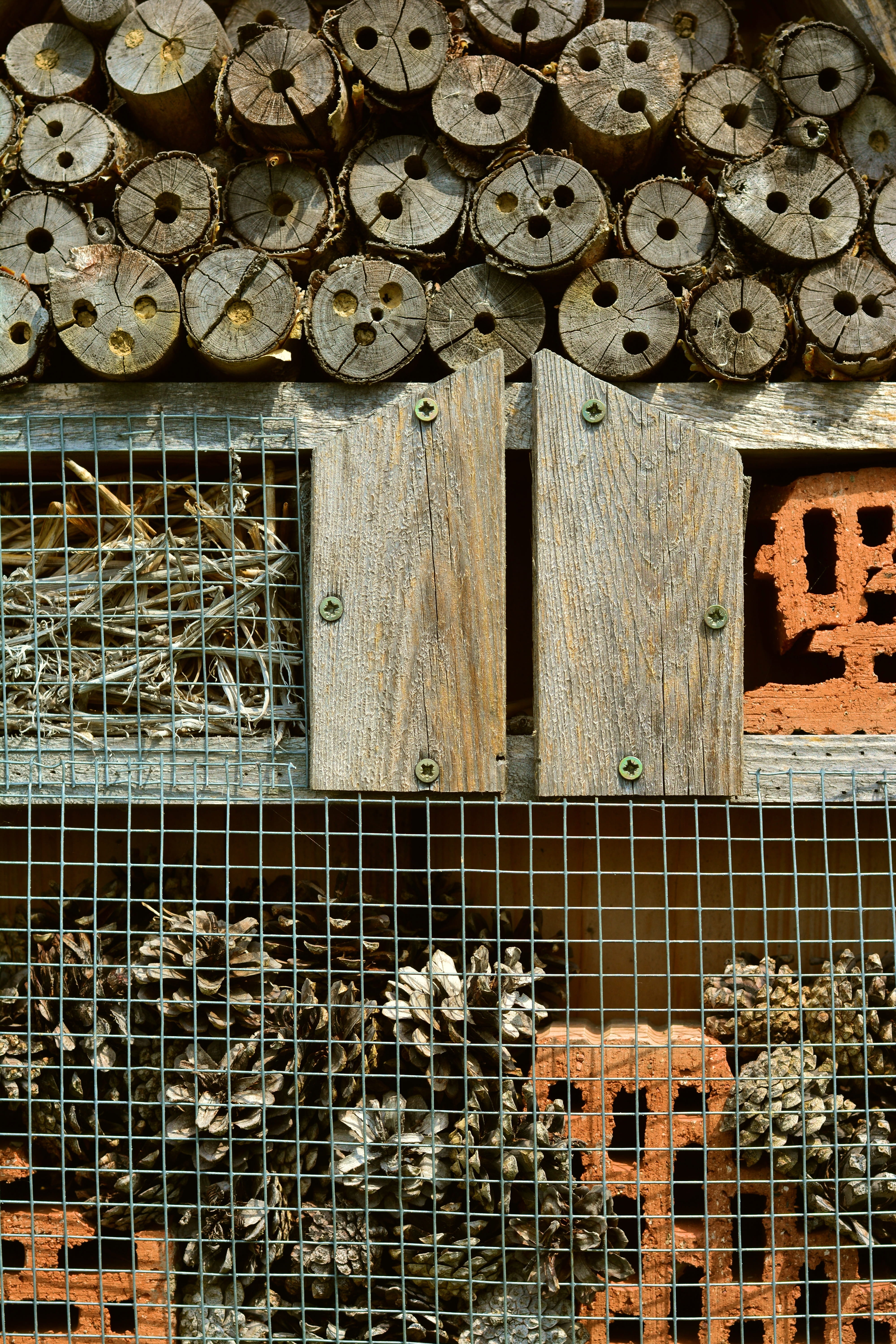 outdoors, tree grates, bricks, close-up, indoors, natural materials, insect house, Wood, security, steel grid, metal, drill holes, Insect Hotel, nurschutz, Phone HD Wallpaper