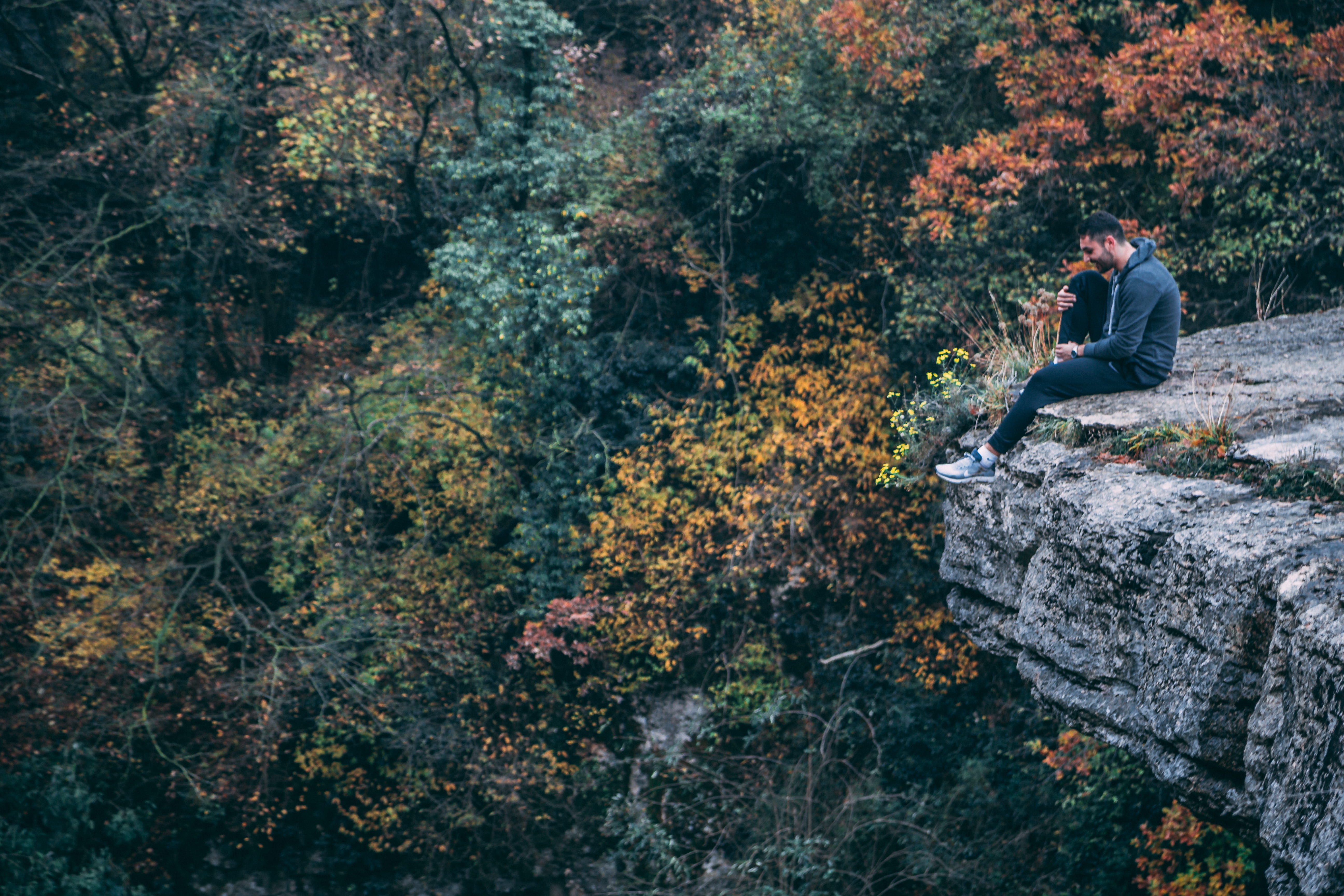 environment, solo, park, man, casual clothing, forest, nature, tree, leisure activity, plant, full length, daylight, beauty in nature, alone, person, risk, HD Wallpaper
