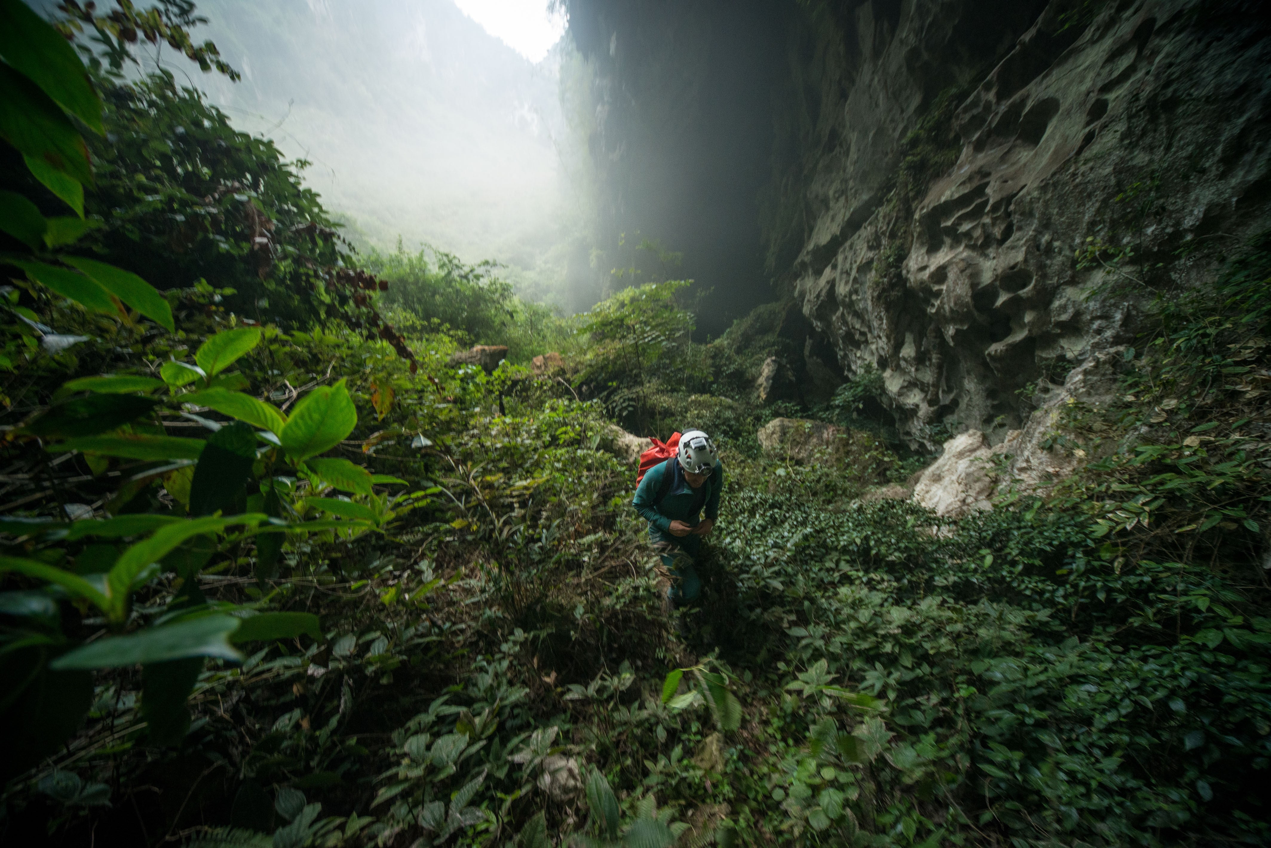 beauty in nature, white, hiking, cave, lifestyles, 4K, one person, land, scenics - nature, forest, nature, plant, shirt, real people, black, s, backpack, HD Wallpaper