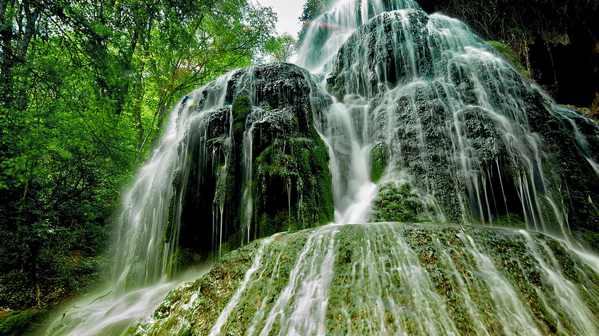 growth, beauty in nature, motion, scenics - nature, long exposure, land, 1080P, power in nature, tree, no people, nature, zaragoza, forest, blurred motion, HD Wallpaper