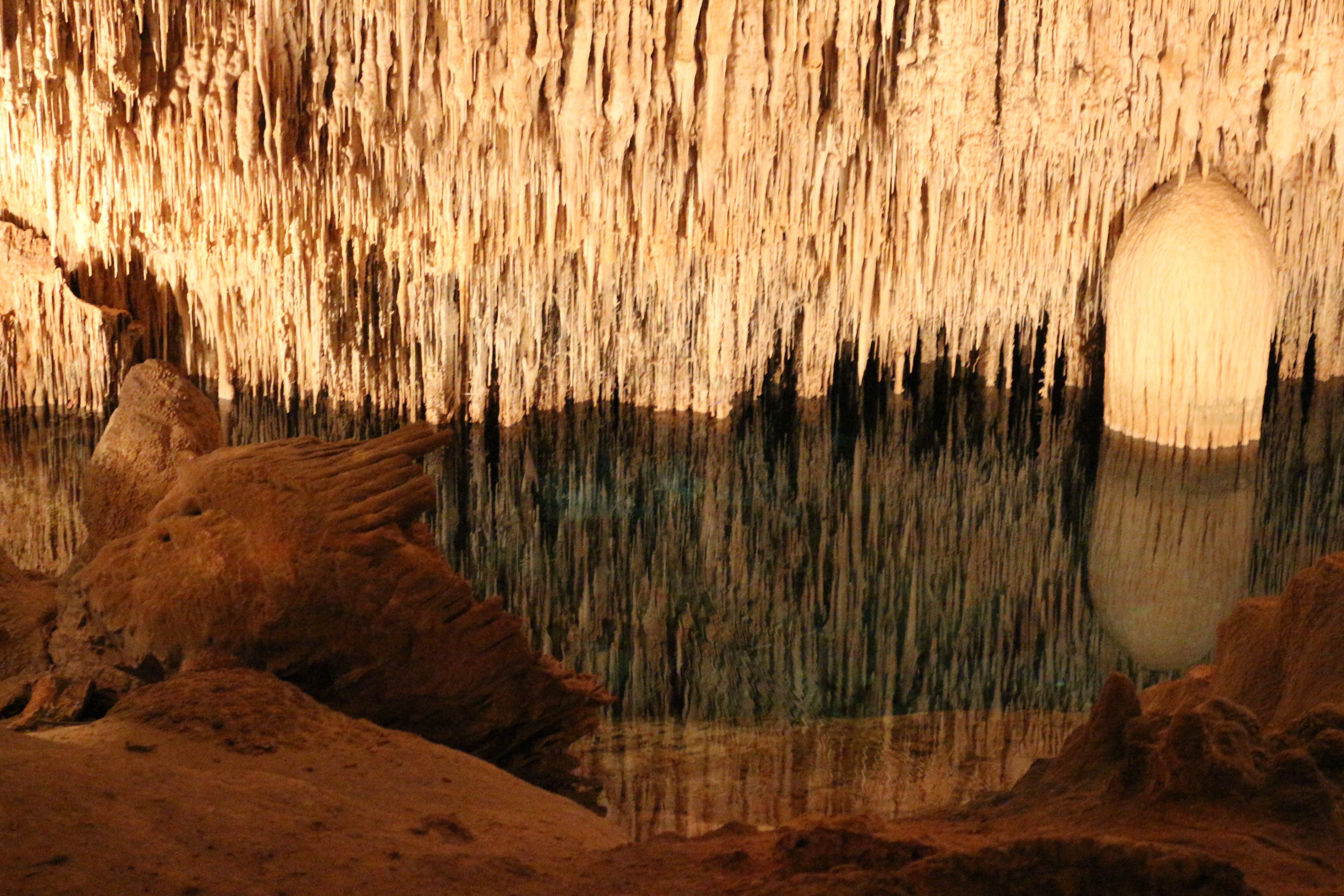 water, travel destinations, rock - object, solid, stalactite cave, tree, rock formation, mallorca, rock, plant, textured, nature, beauty in nature, day, HD Wallpaper