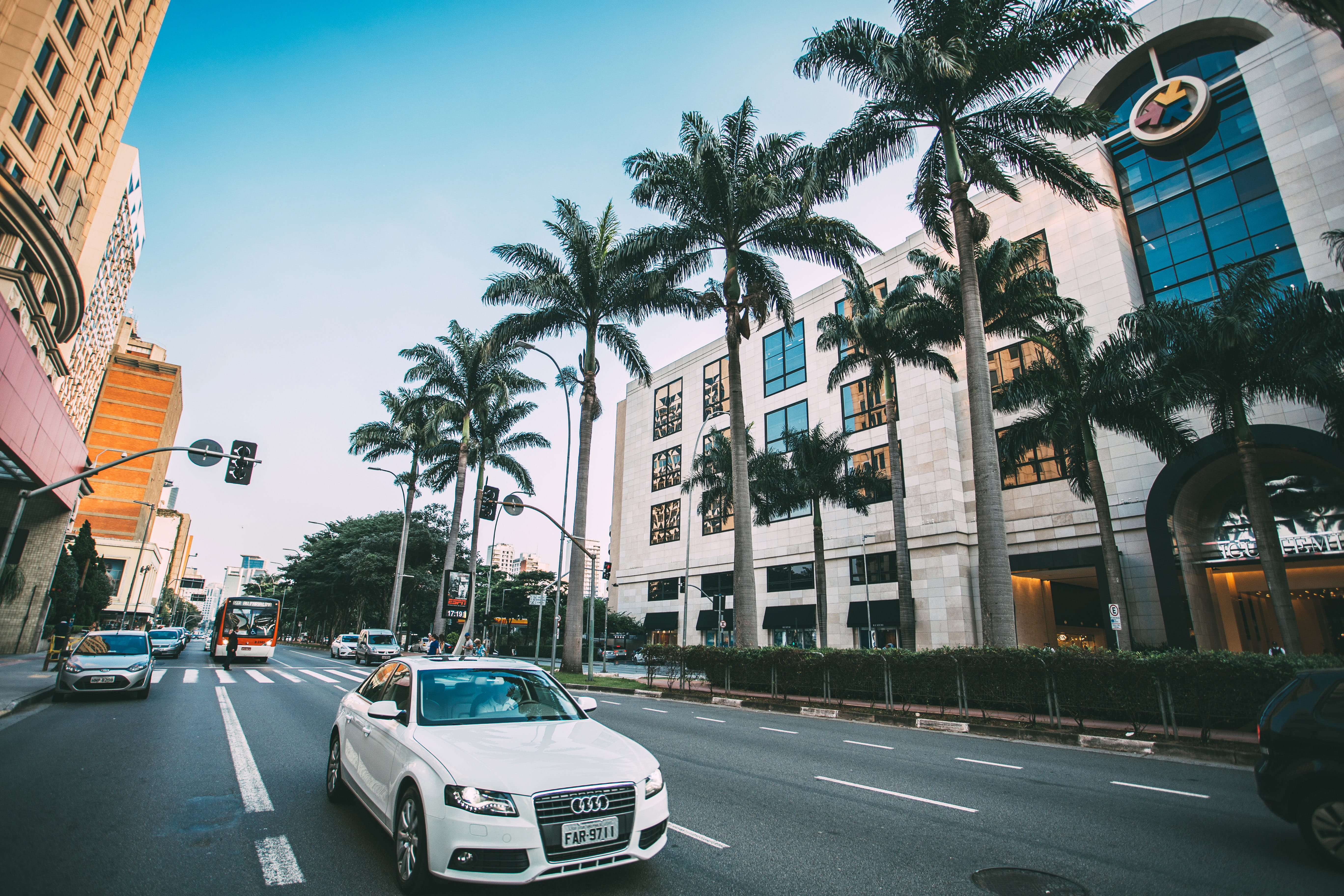 urban Scene, trees, travel, palm Tree, White, day, street, car, traffic, travel Destinations, palm, photos, built Structure, architecture, building Exterior, HD Wallpaper