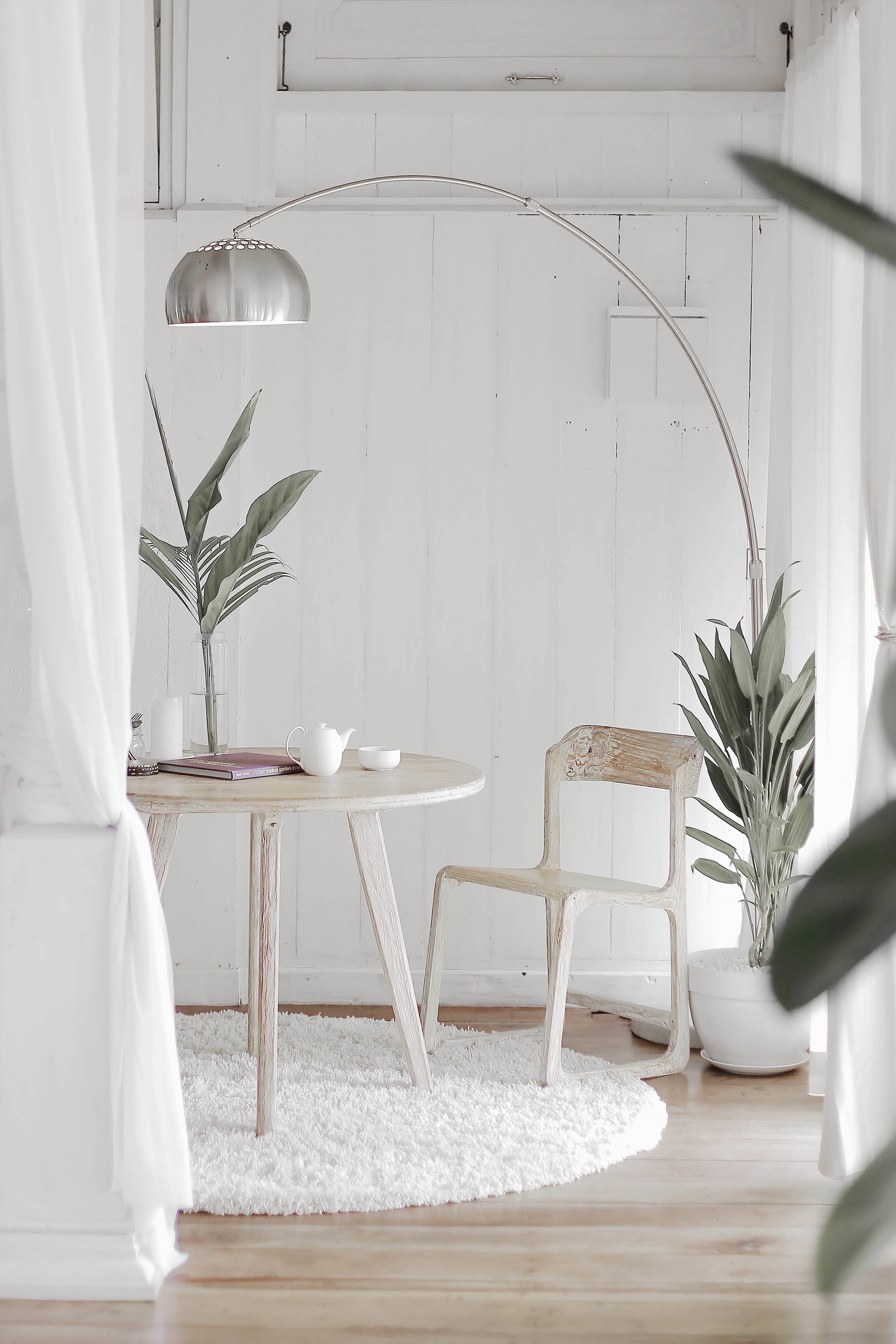 plant, stainless, nature, white color, wood - material, furniture, minimalism, home interior, rug, table, potted plant, minimalist, leaf, wooden, day, gray, Phone HD Wallpaper