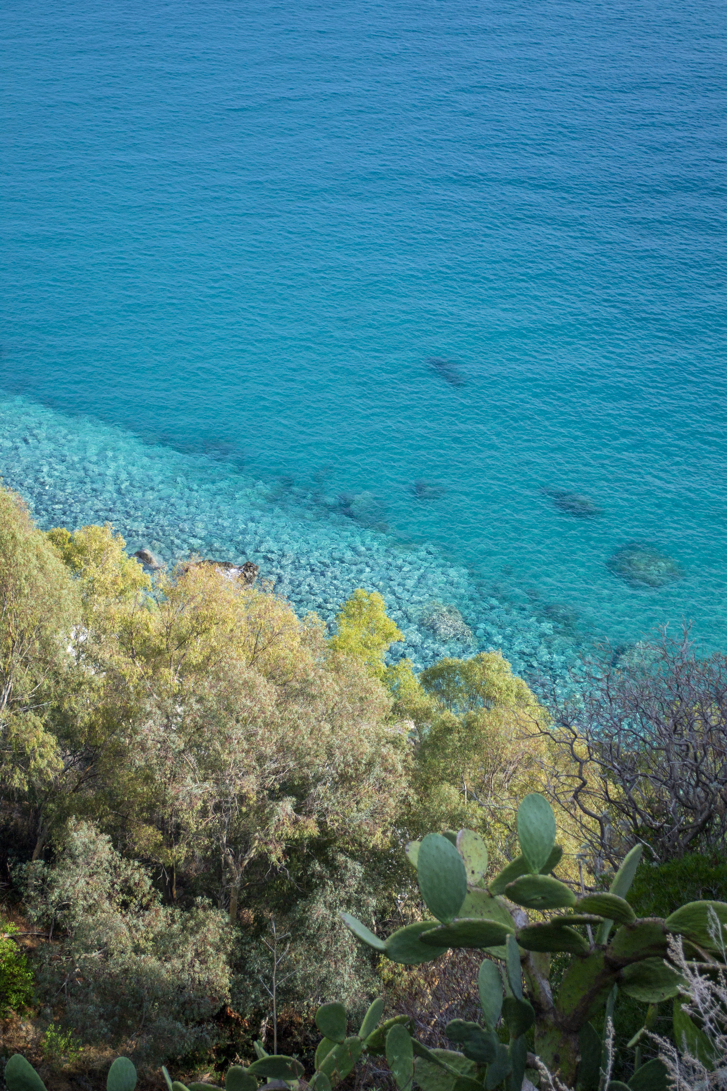 vegetation, scenics - nature, high angle view, beauty in nature, blue, nature, coast, tranquility, promontory, water, shoreline, growth, trees, day, beside, Phone HD Wallpaper