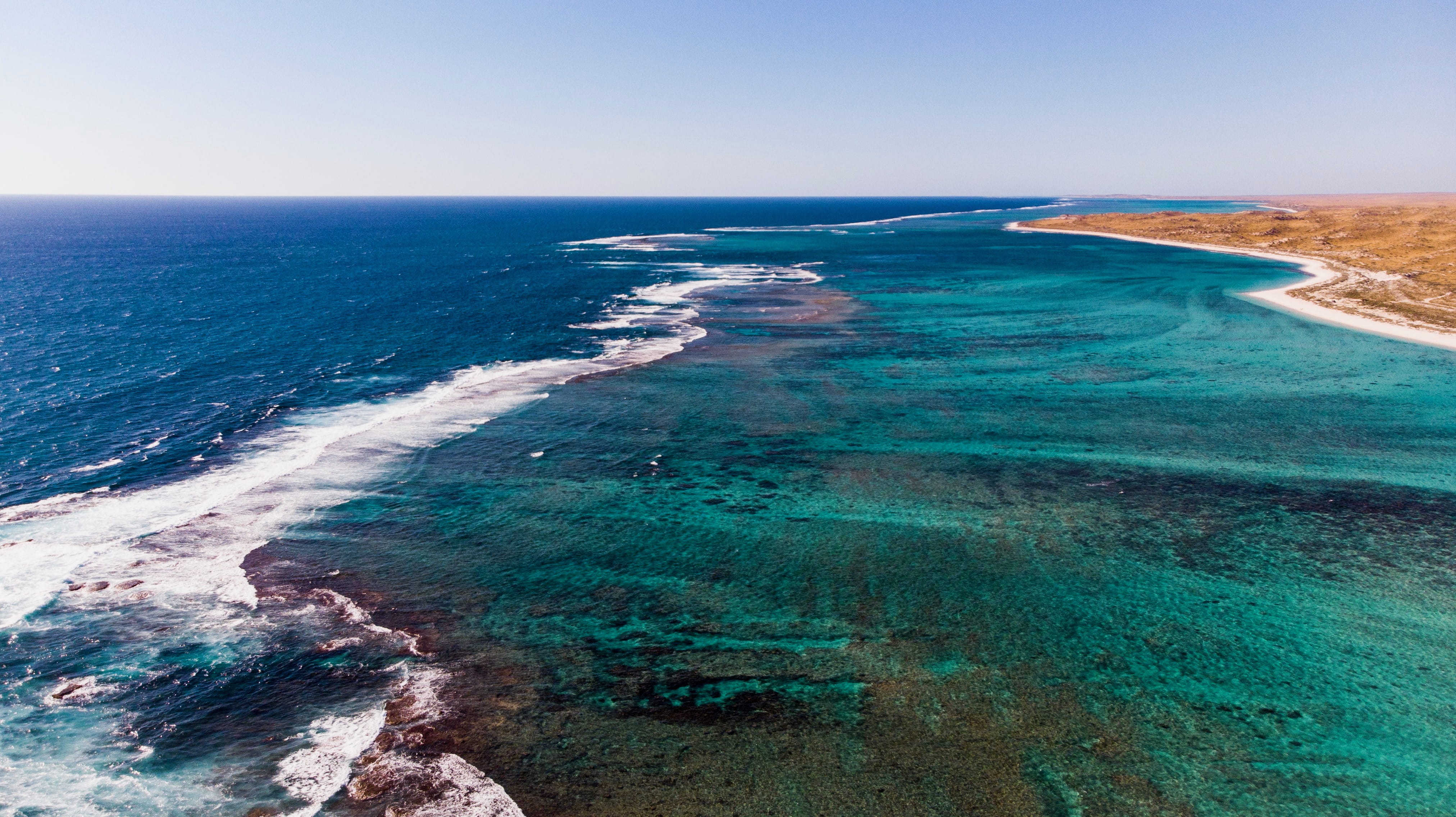 non-urban scene, tranquil scene, beauty in nature, ocean, horizon, ningaloo reed, water, tranquility, sky, turquoise colored, vegetation, sea life, western australia, HD Wallpaper