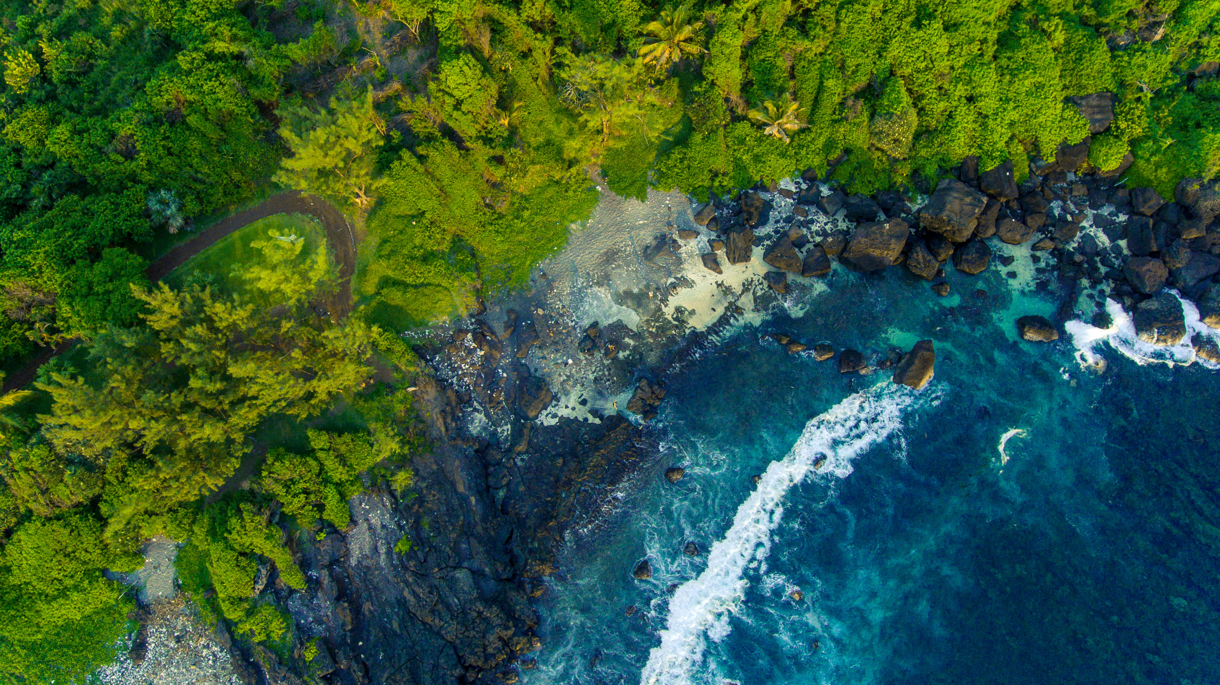 river, aerial view, bush, fish, outdoors, tranquil scene, green, ocean, high angle view, plant, day, aquatic, sea, tree, green color, land, trees, idyllic, HD Wallpaper